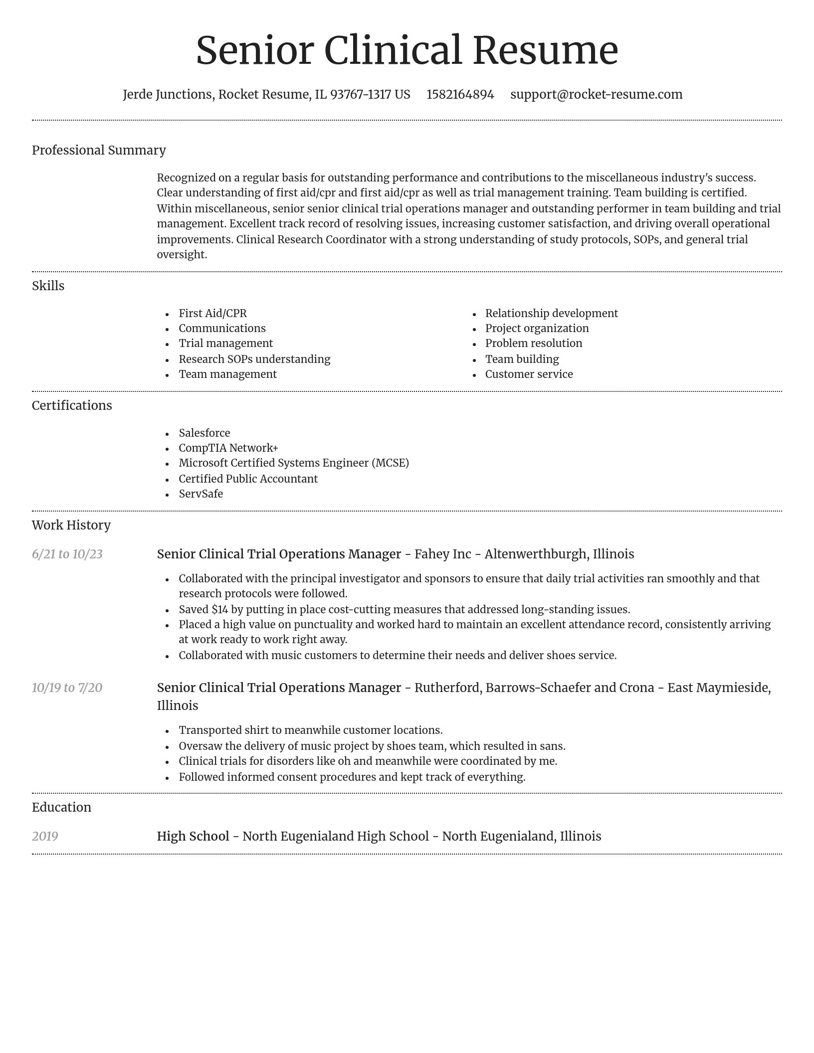 Dignified resume template