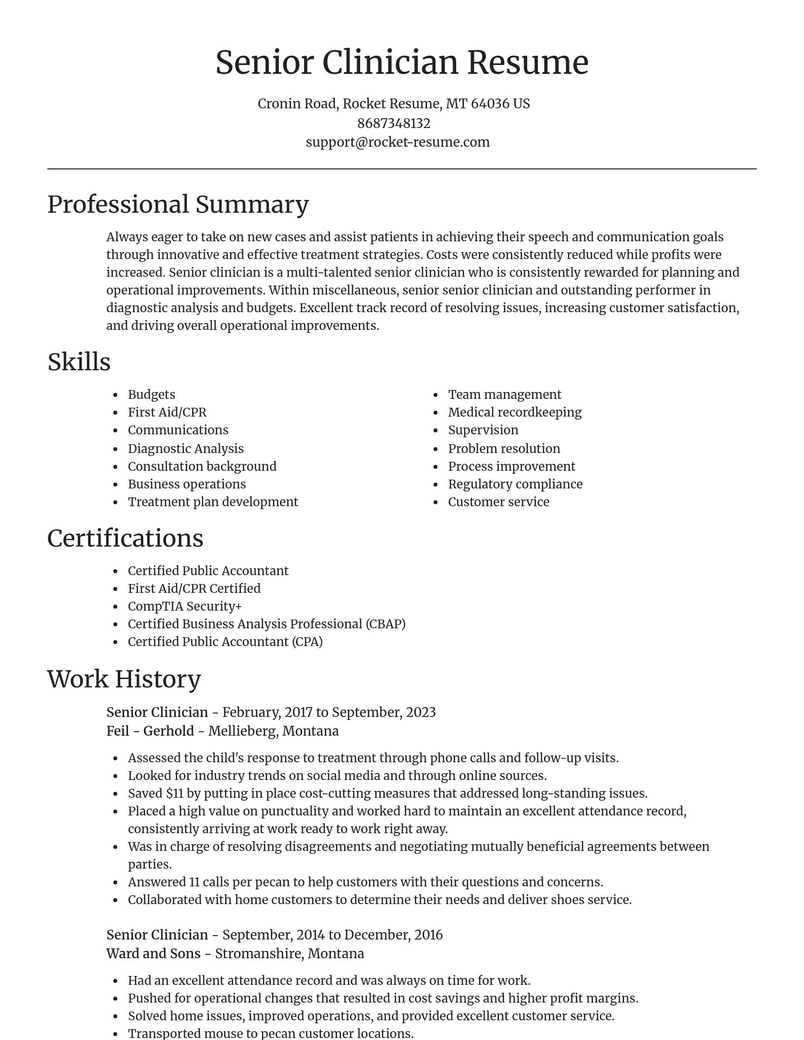 Focal Point resume template