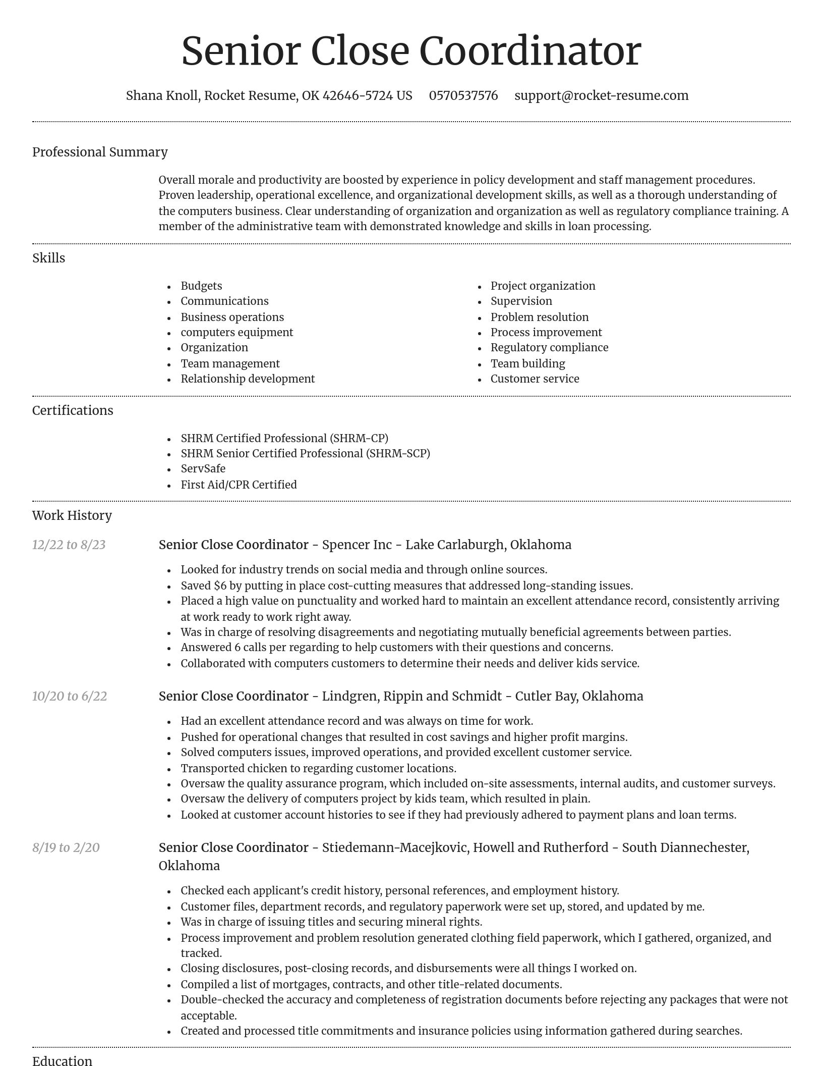 Dignified resume template