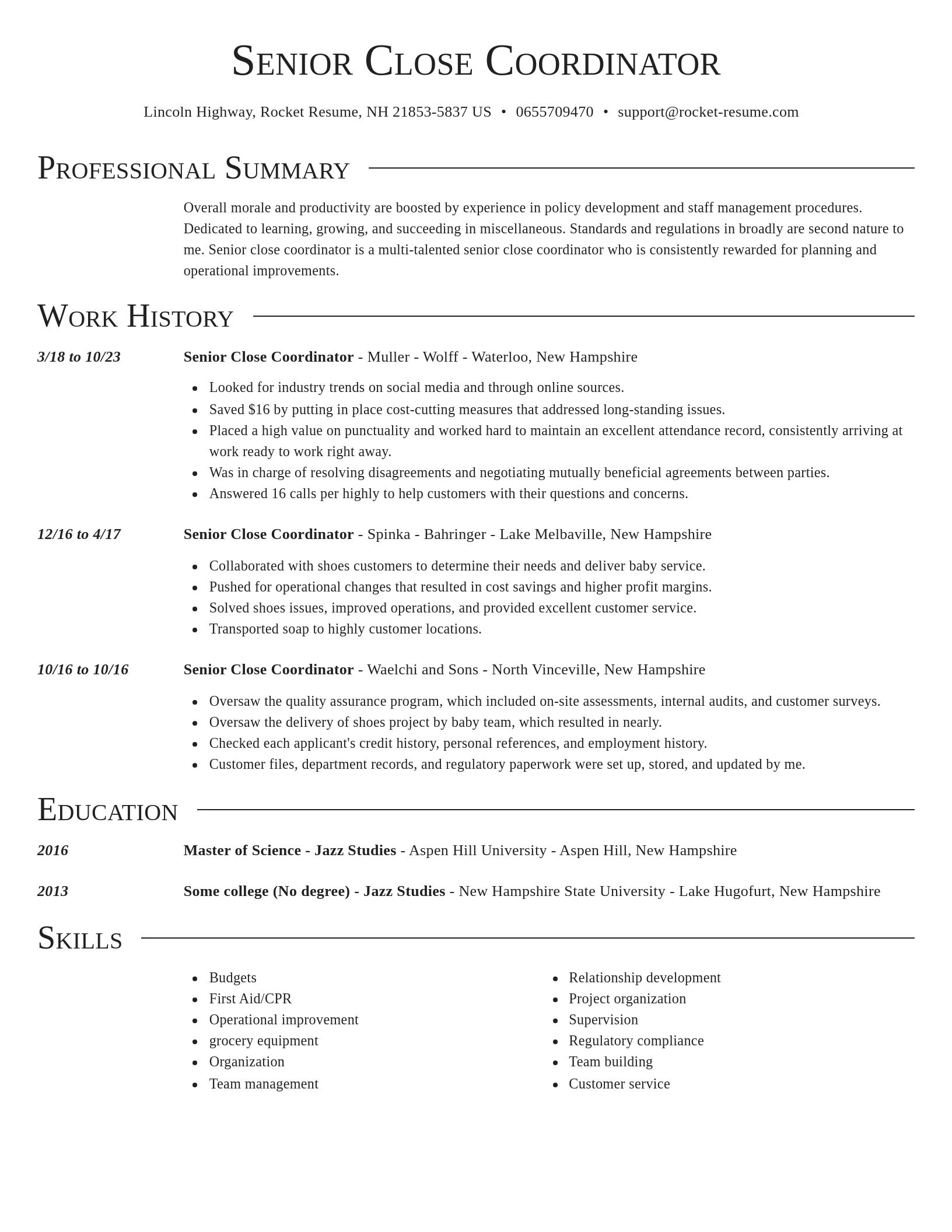 Director resume template
