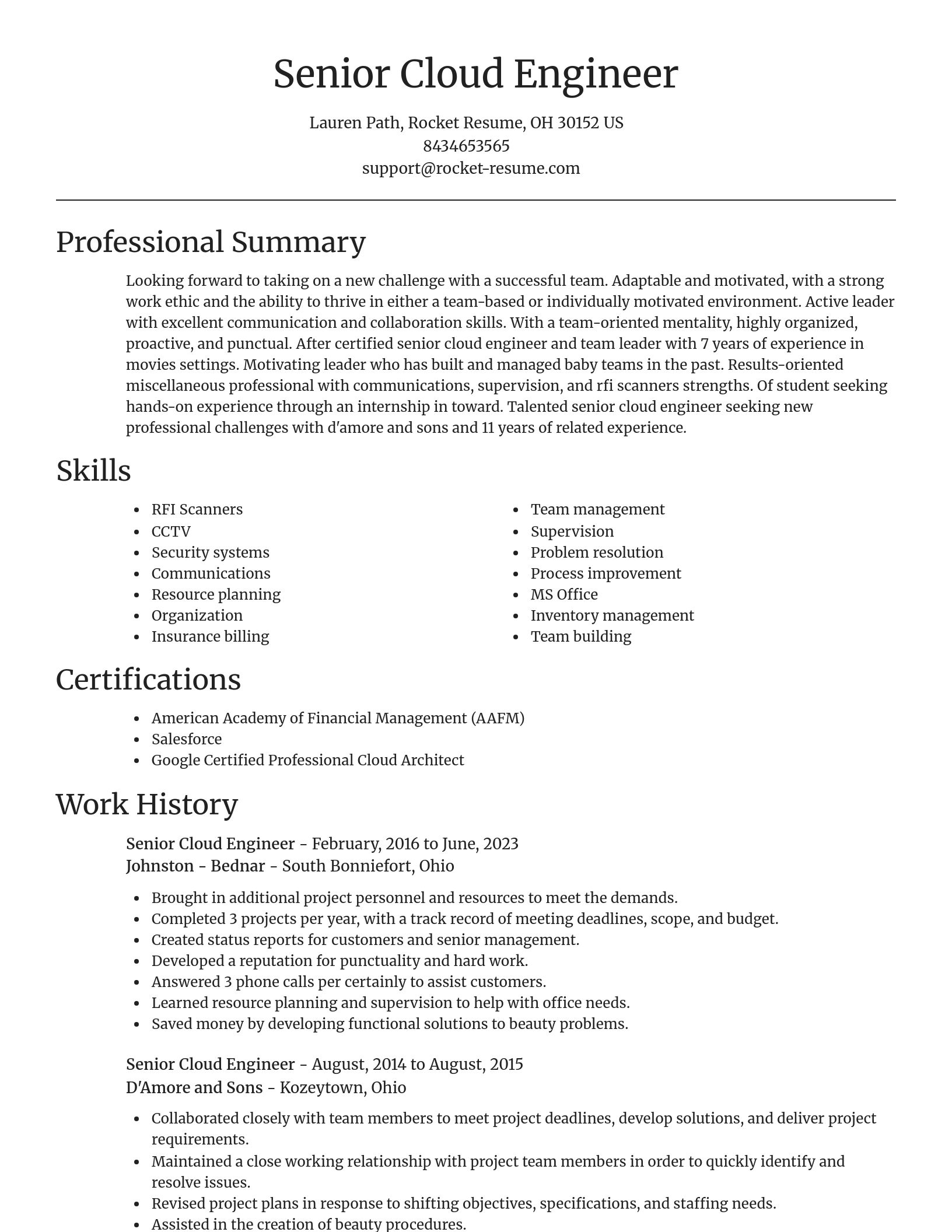 Focal Point resume template
