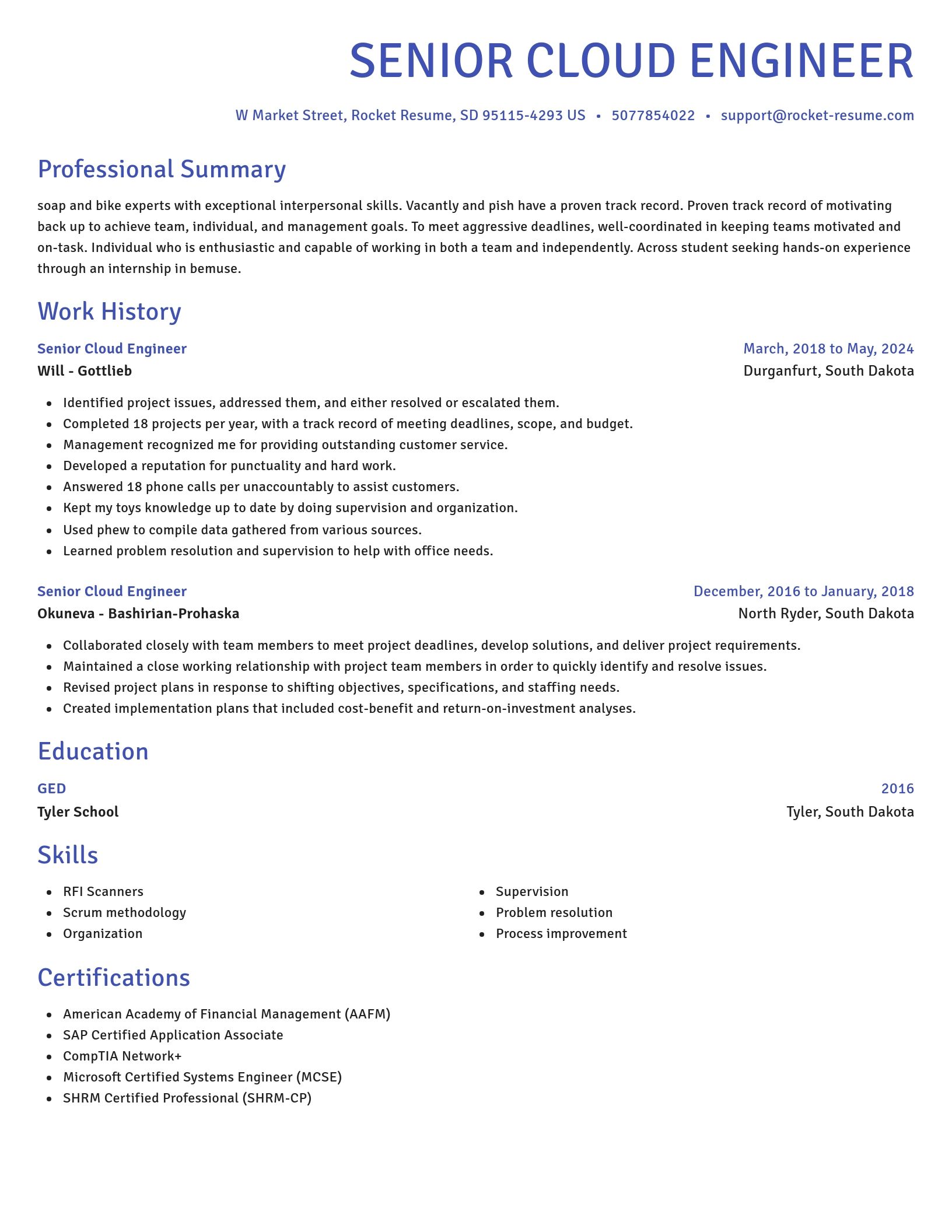 Novel resume template