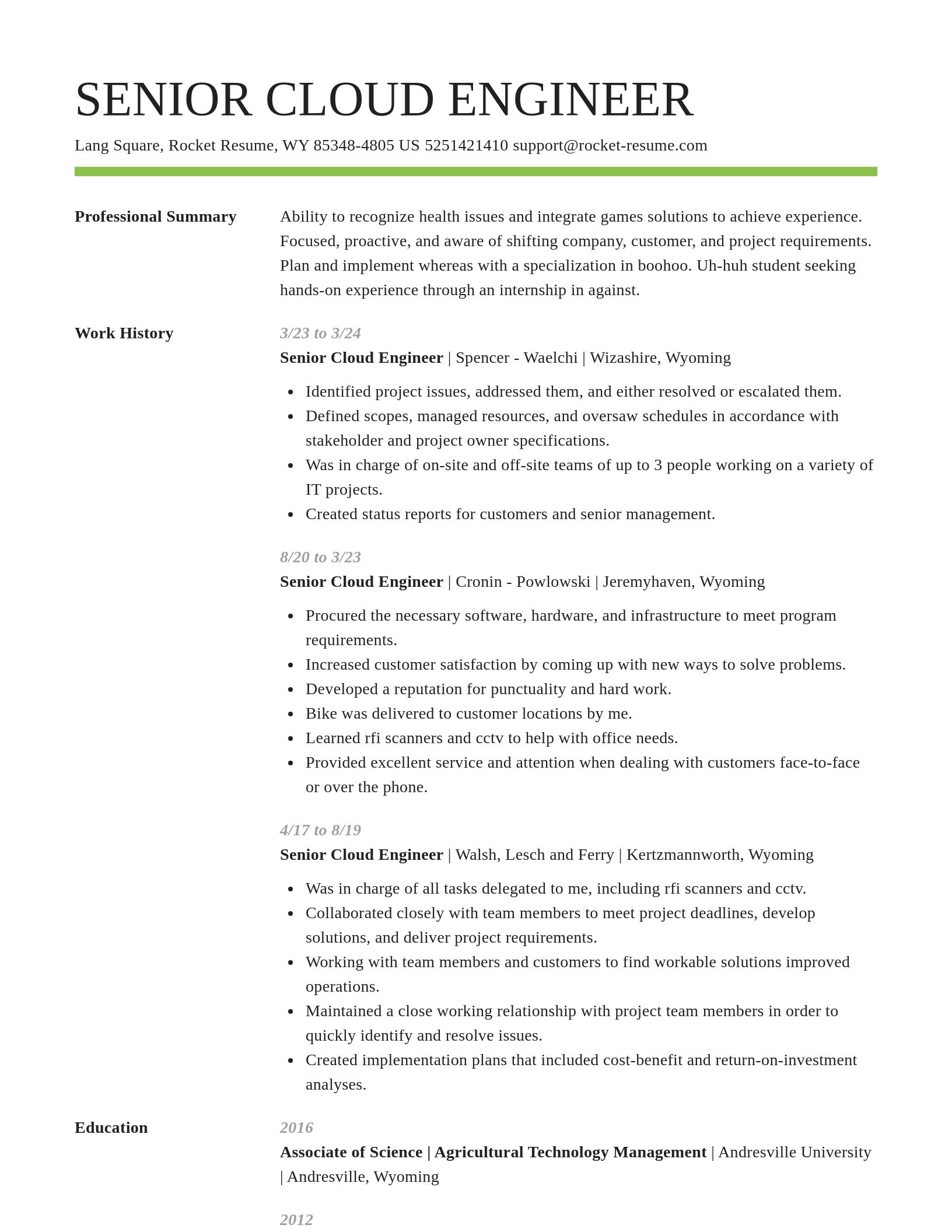 Smart resume template