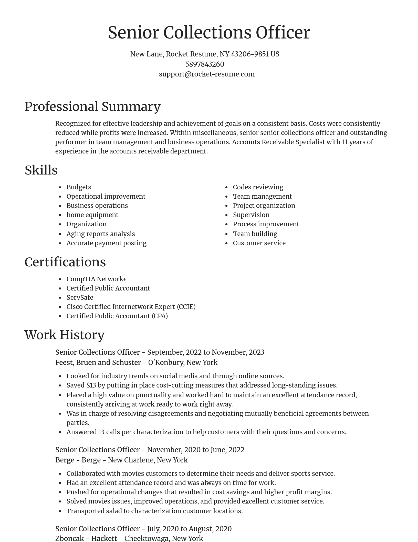 Focal Point resume template