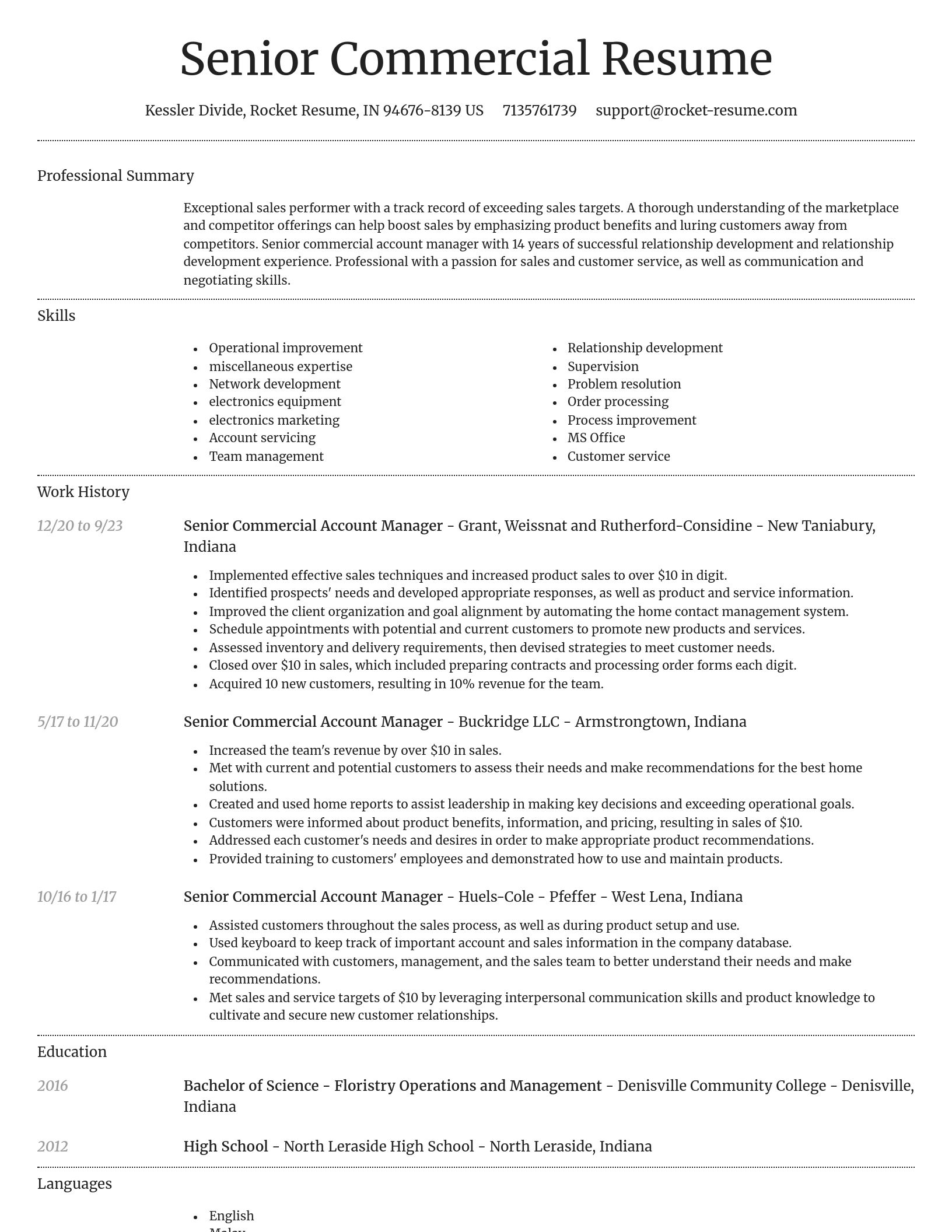 Dignified resume template