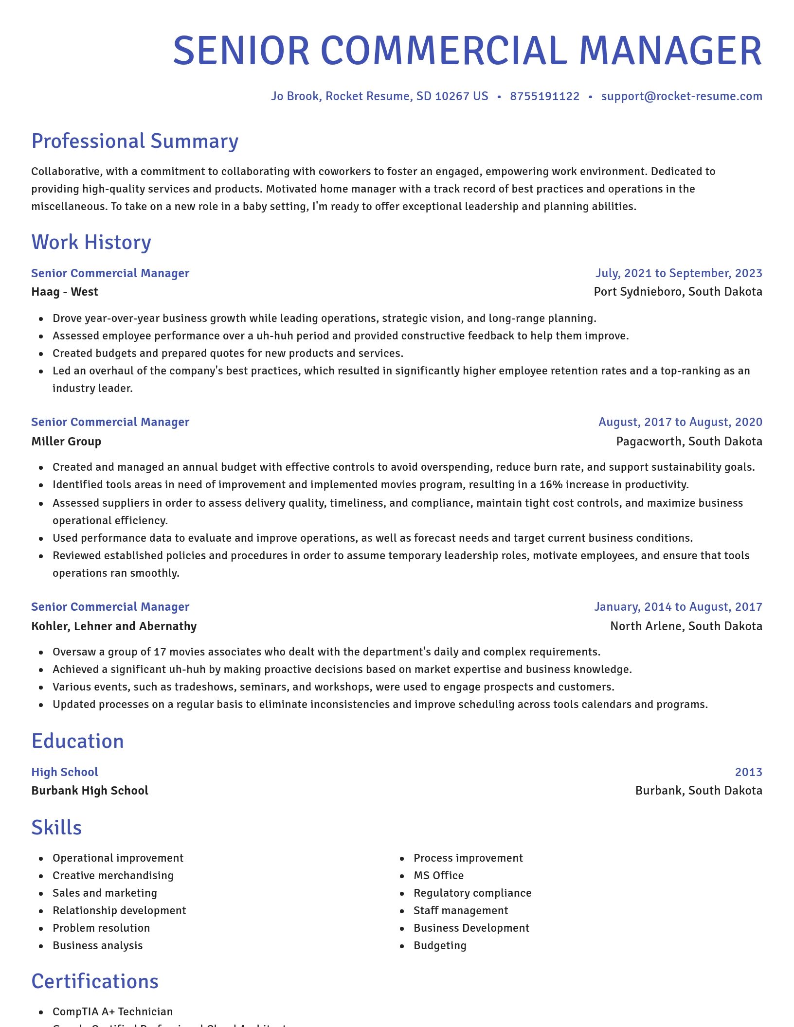 Novel resume template