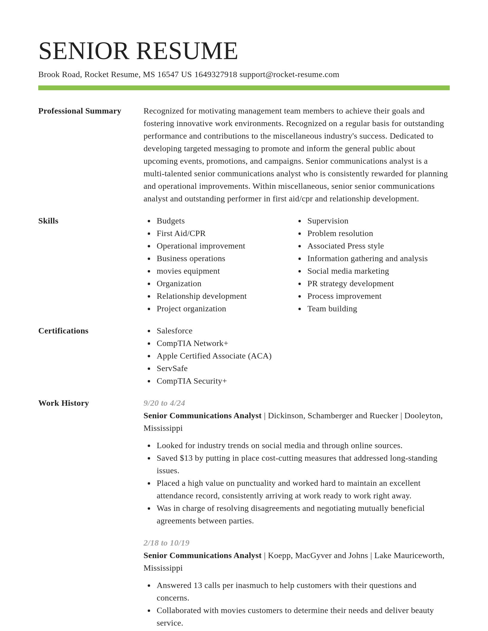 Smart resume template