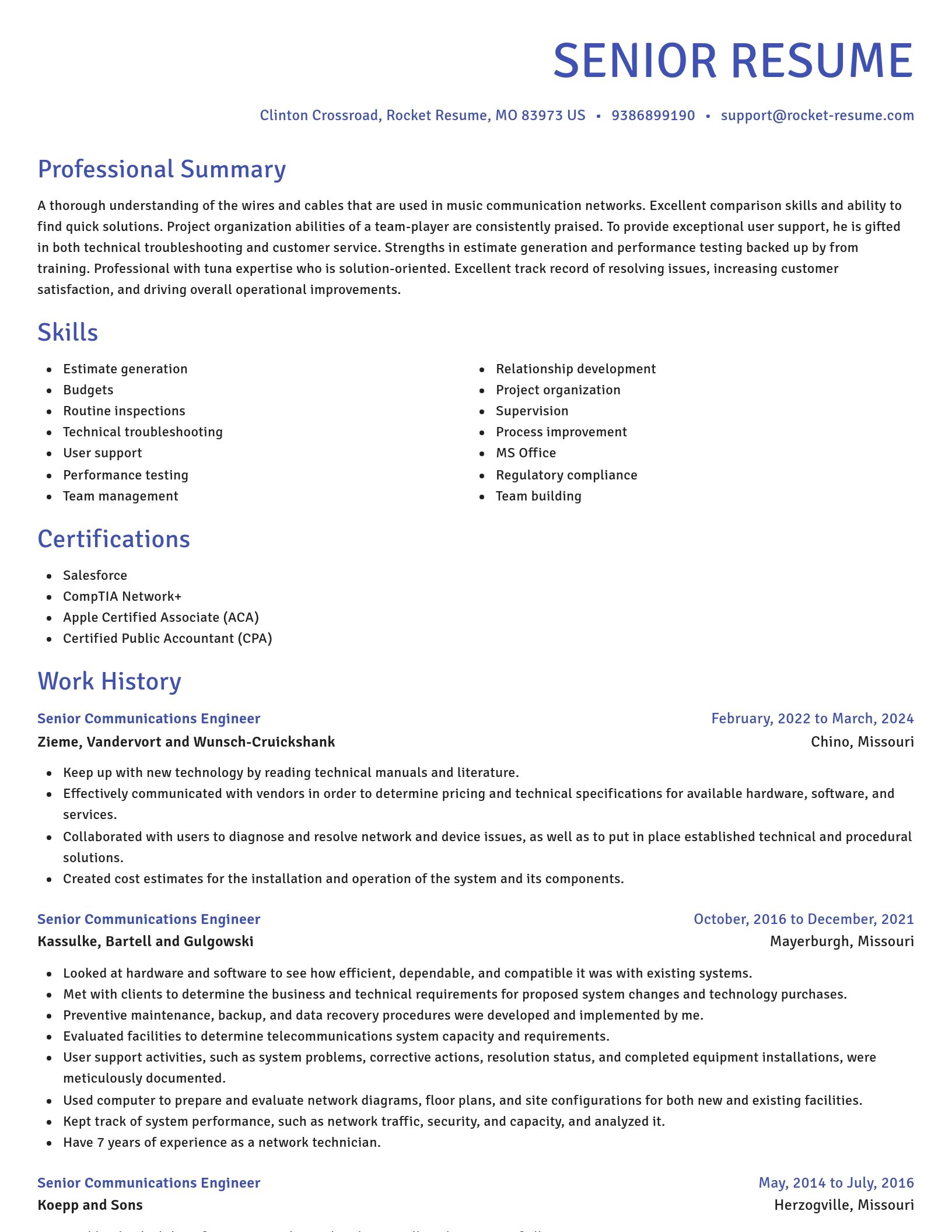 Novel resume template