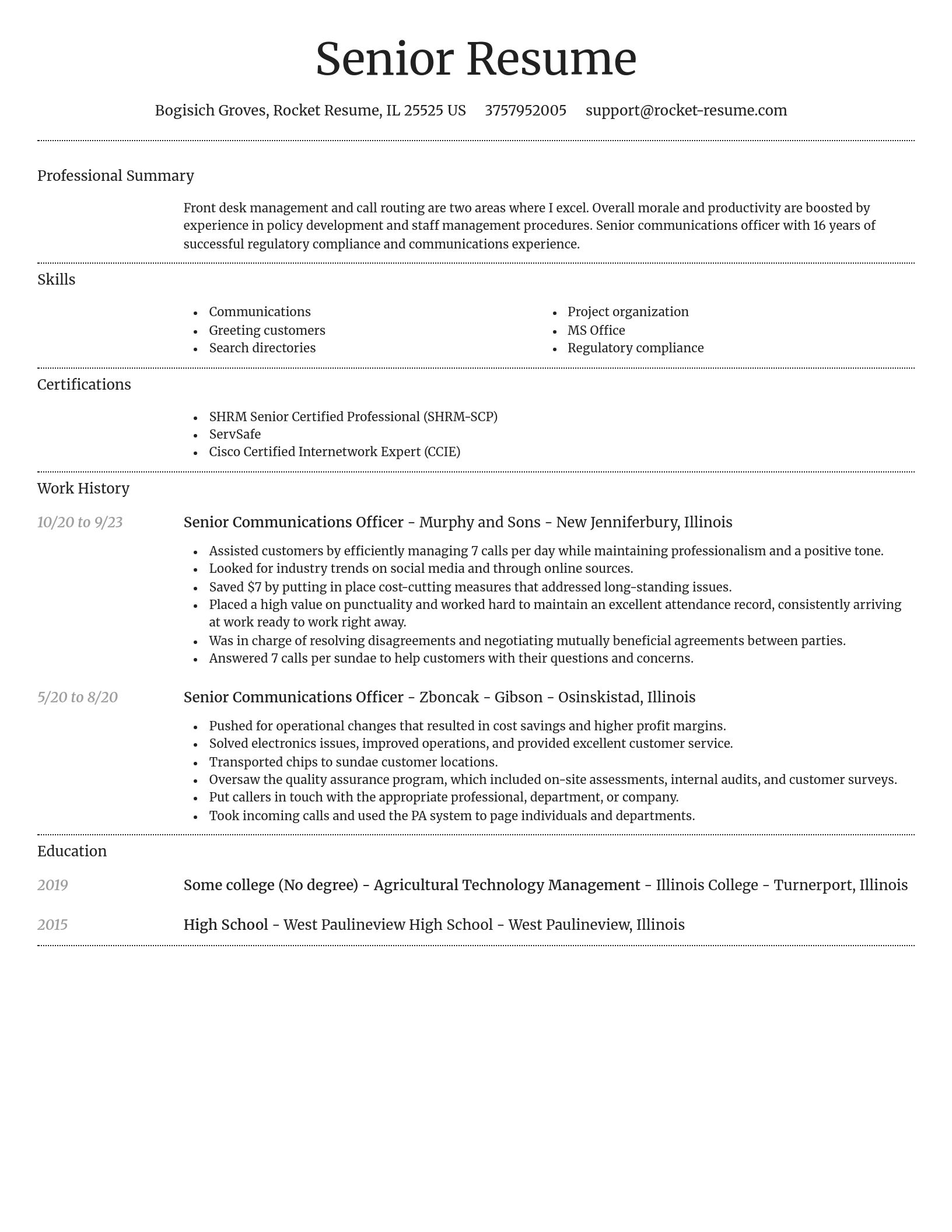Dignified resume template