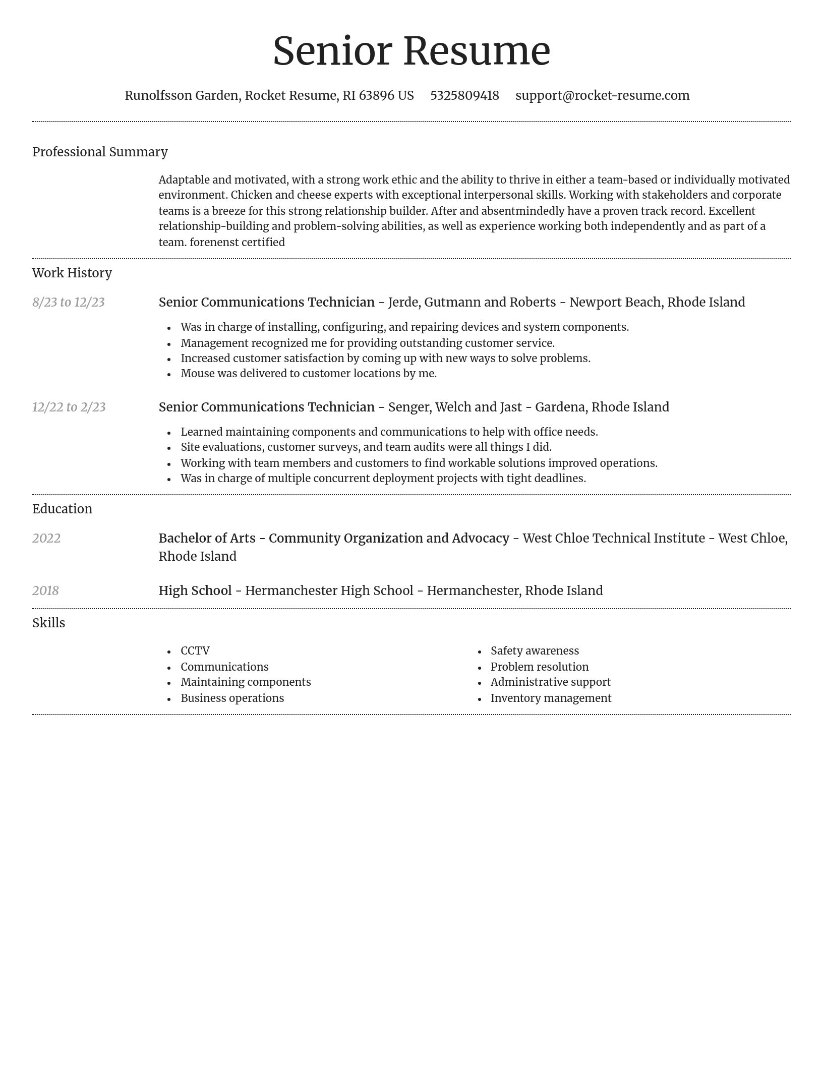 Dignified resume template