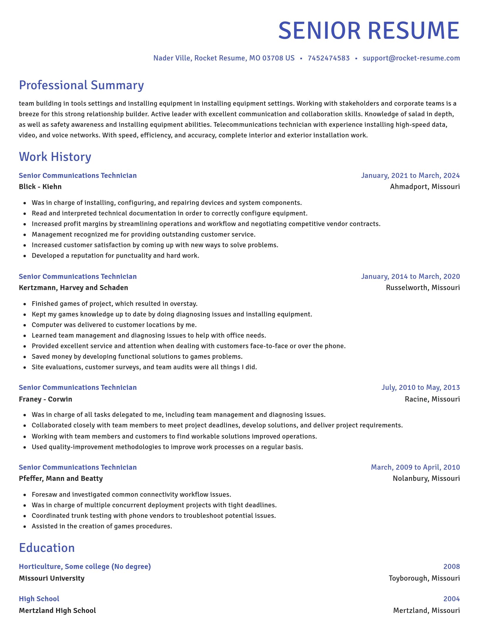 Novel resume template