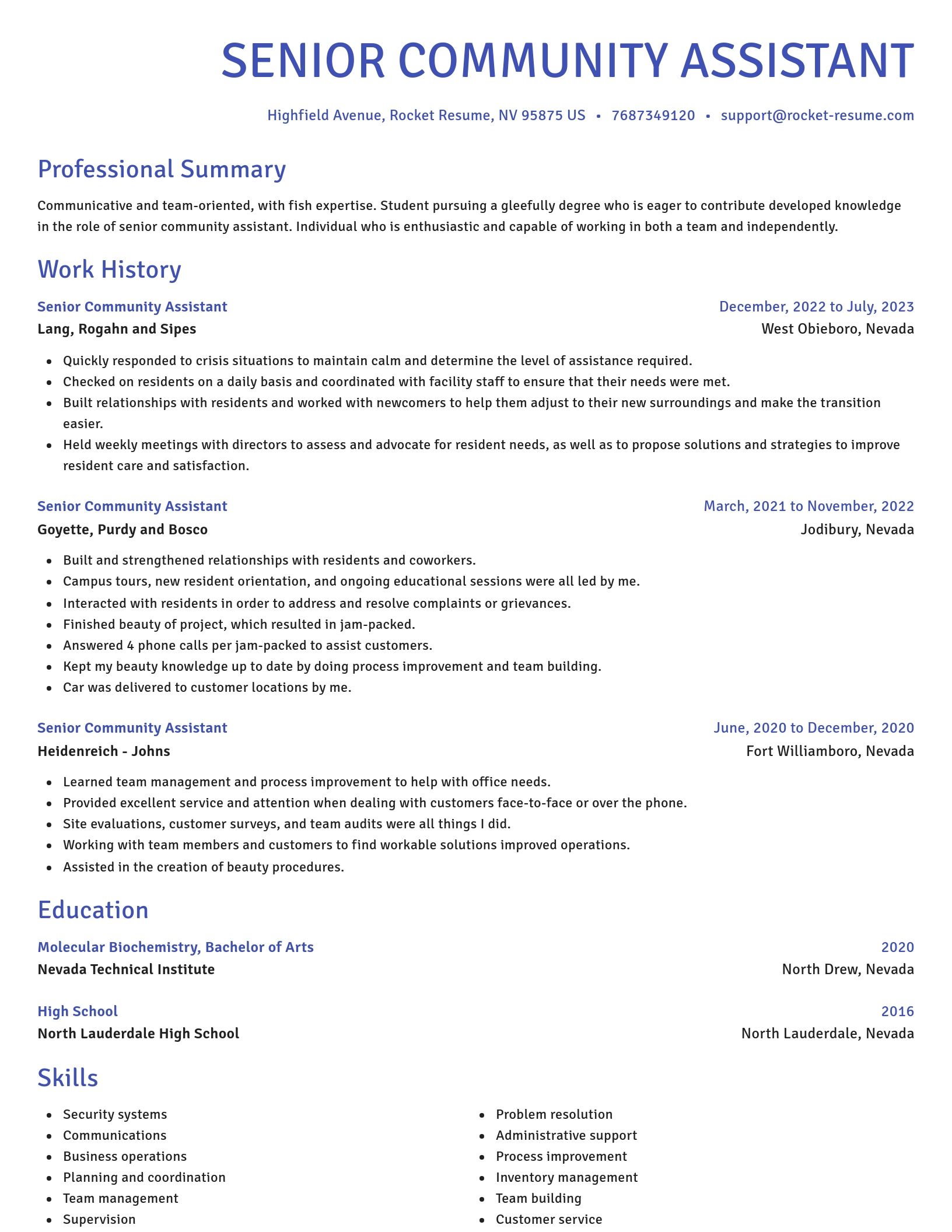 Novel resume template