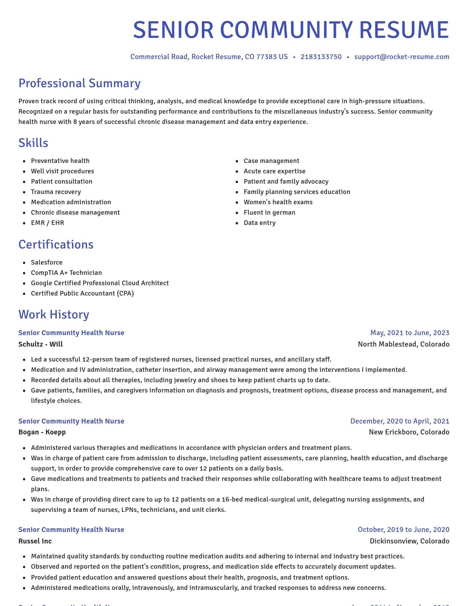 Novel resume template