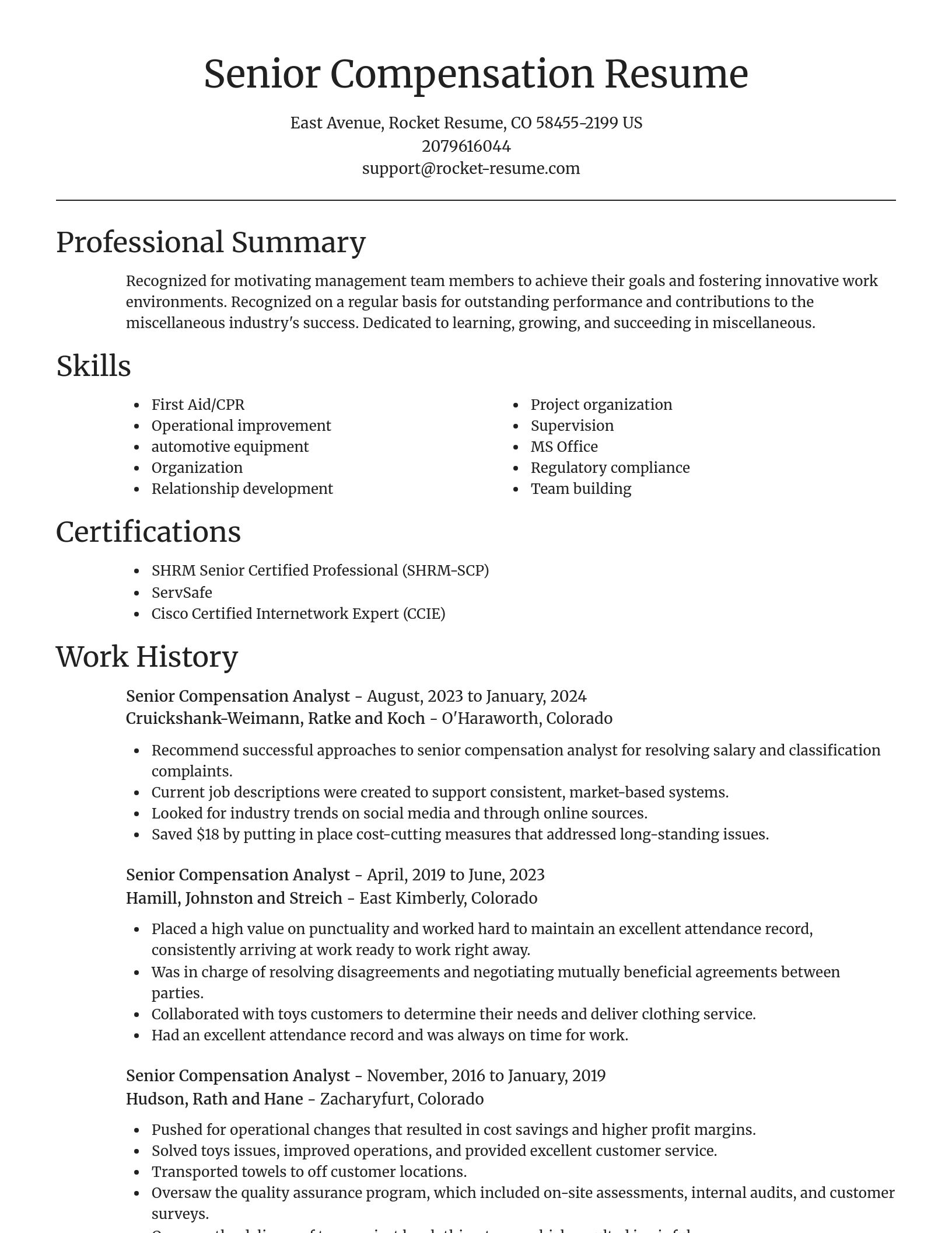 Focal Point resume template
