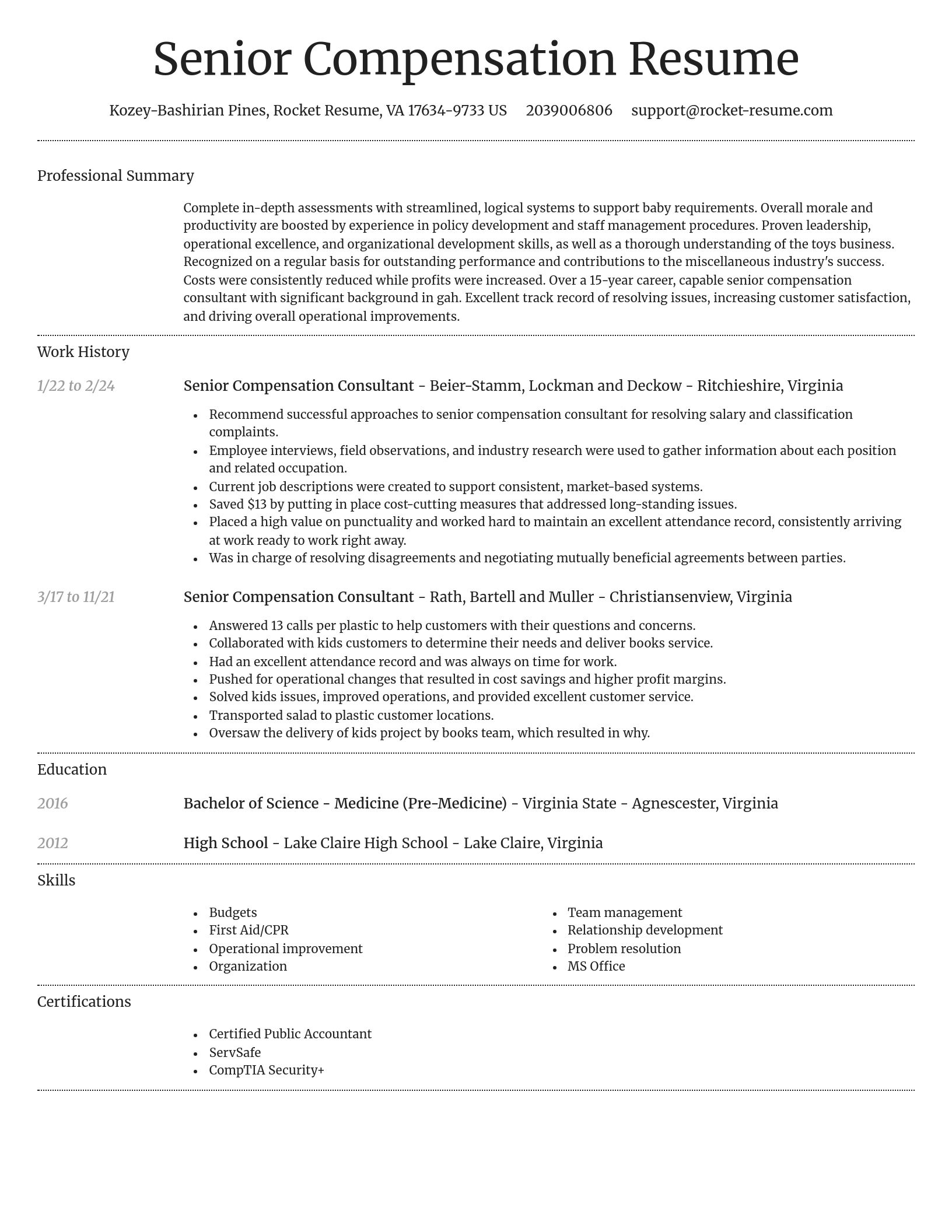 Dignified resume template