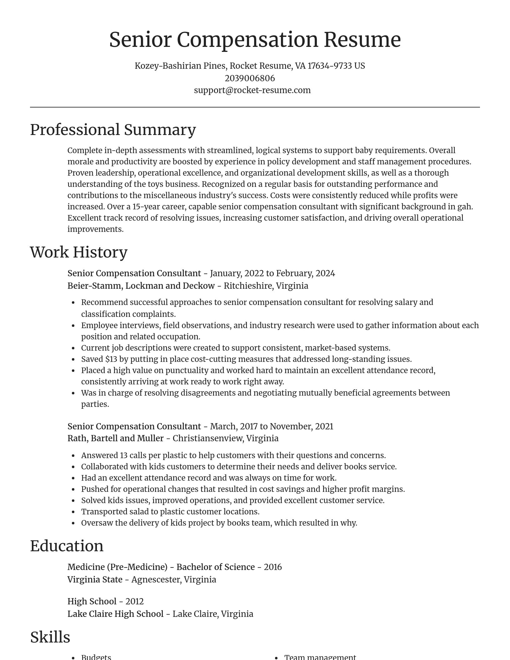 Focal Point resume template