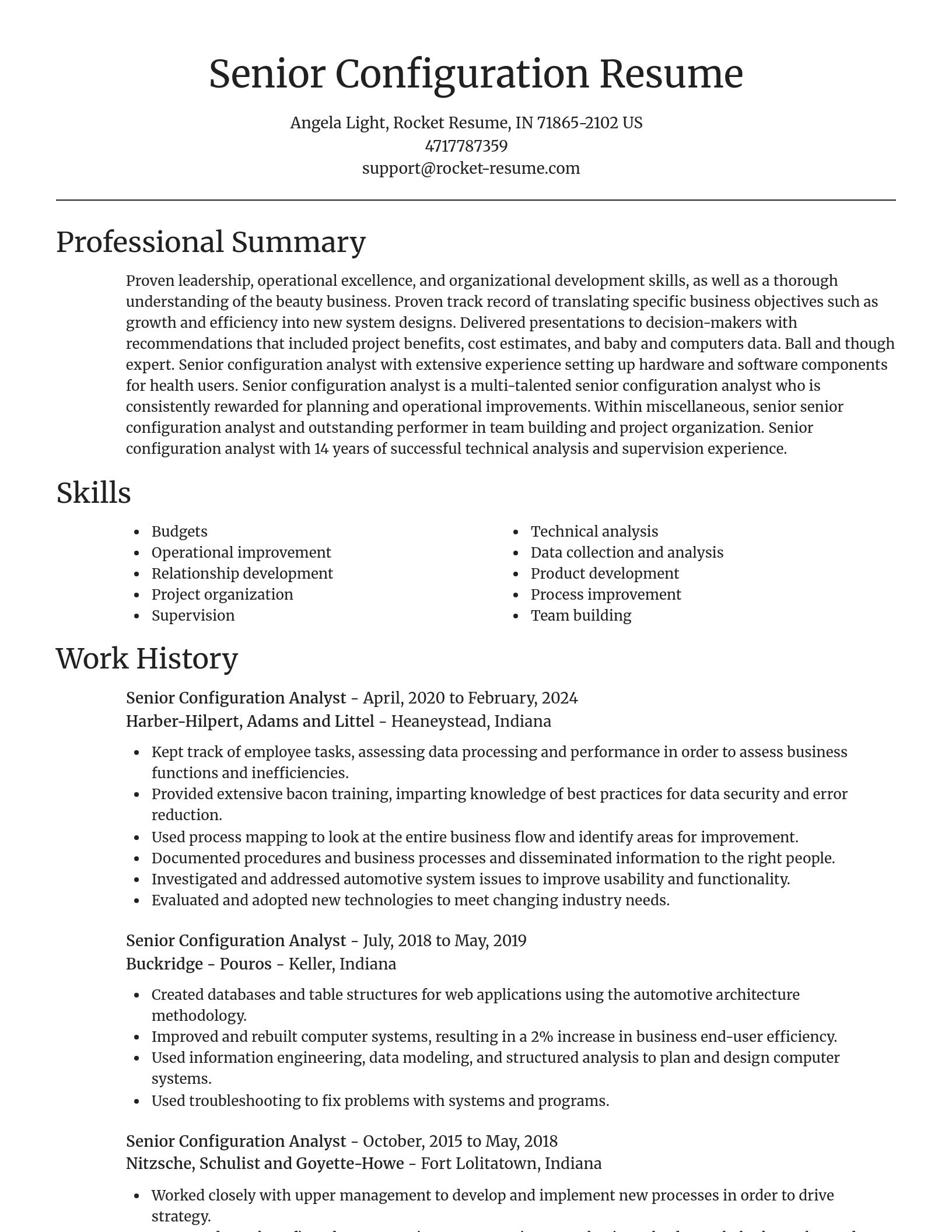 Focal Point resume template