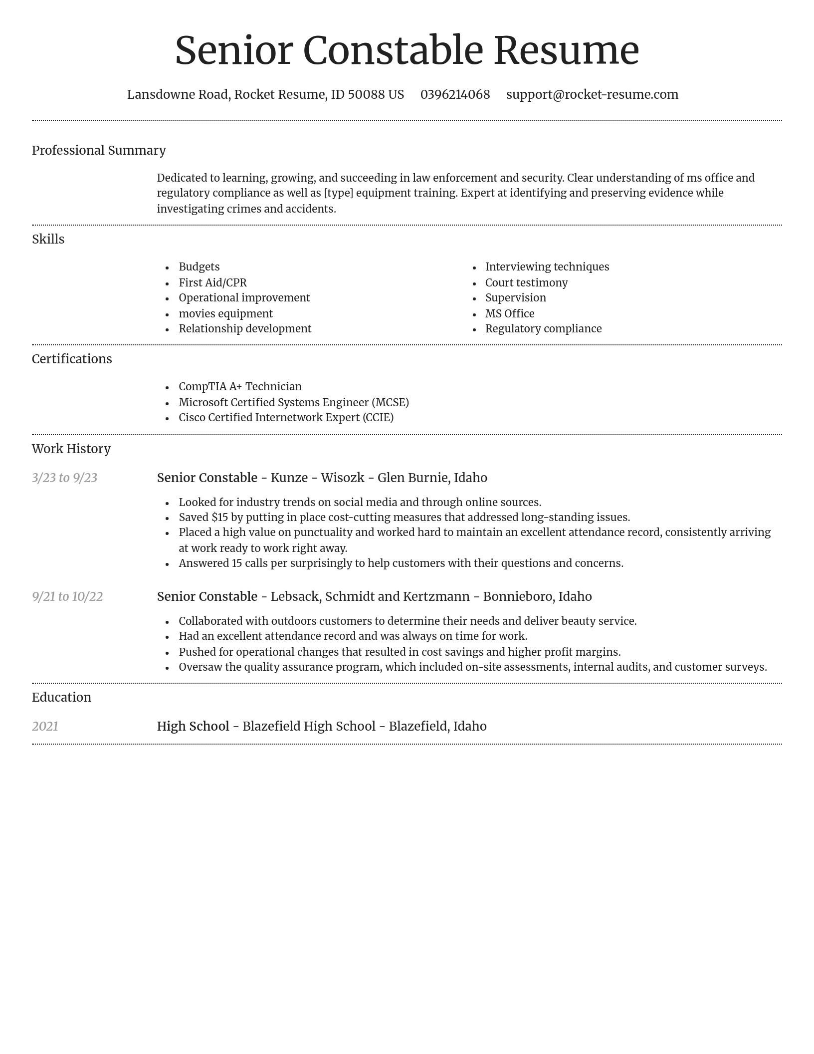 Dignified resume template
