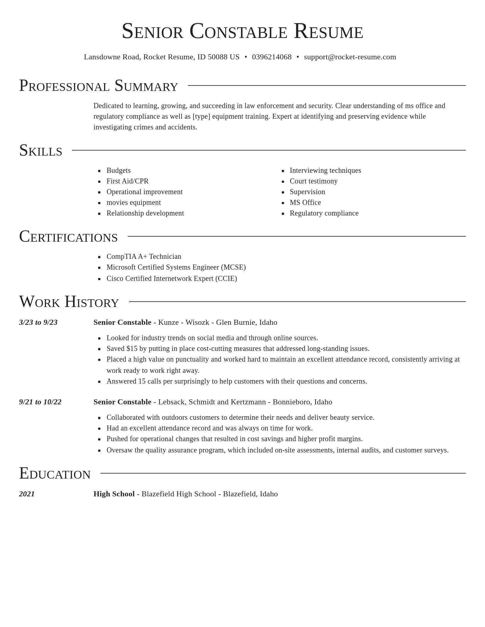 Director resume template