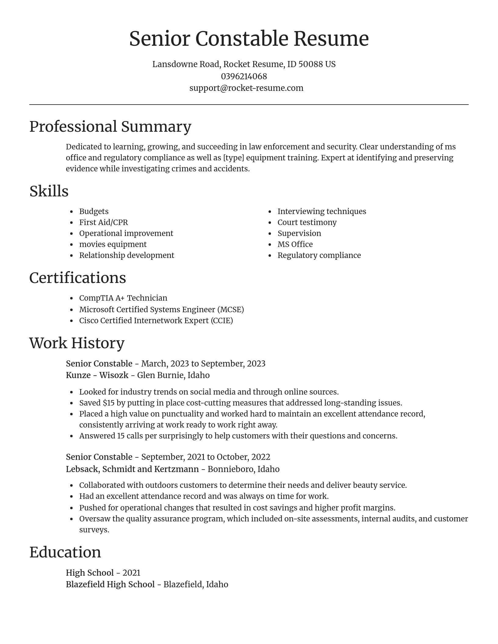 Focal Point resume template