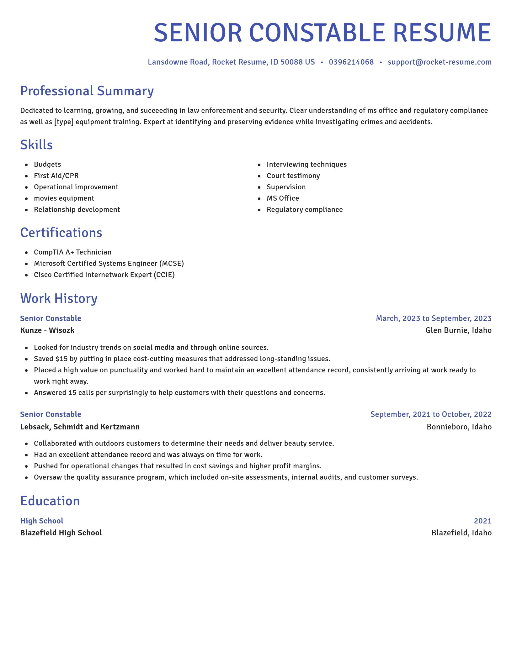 Novel resume template