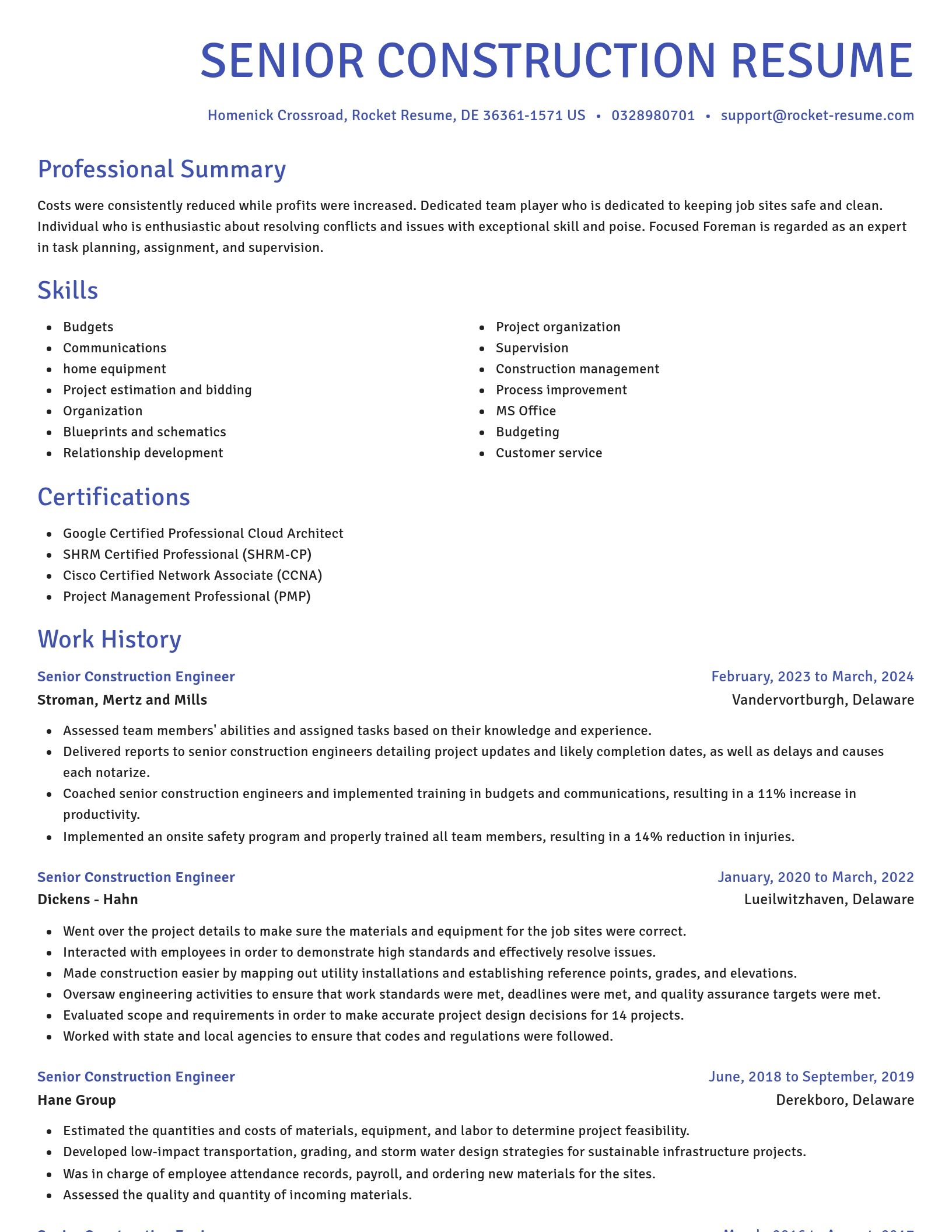 Novel resume template