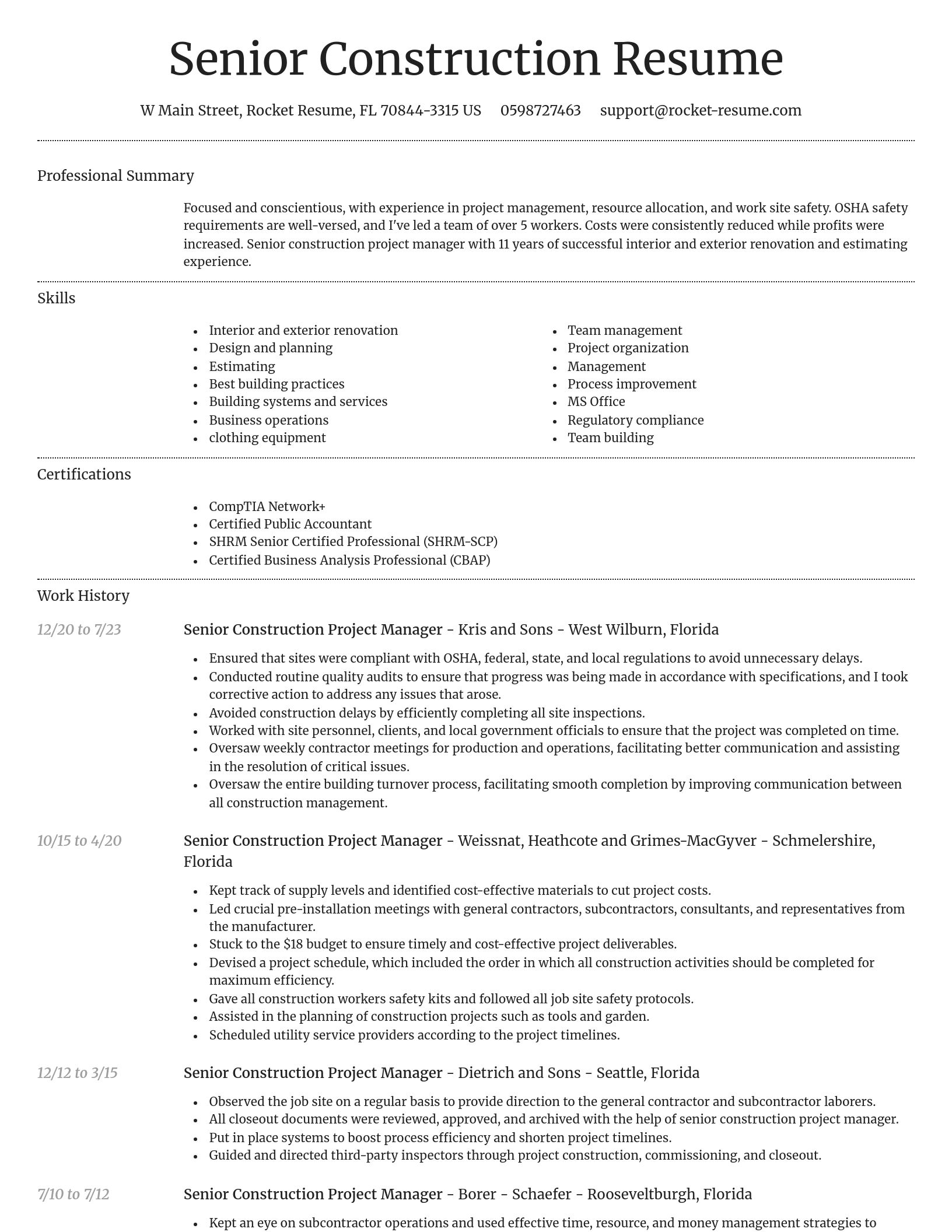 Dignified resume template