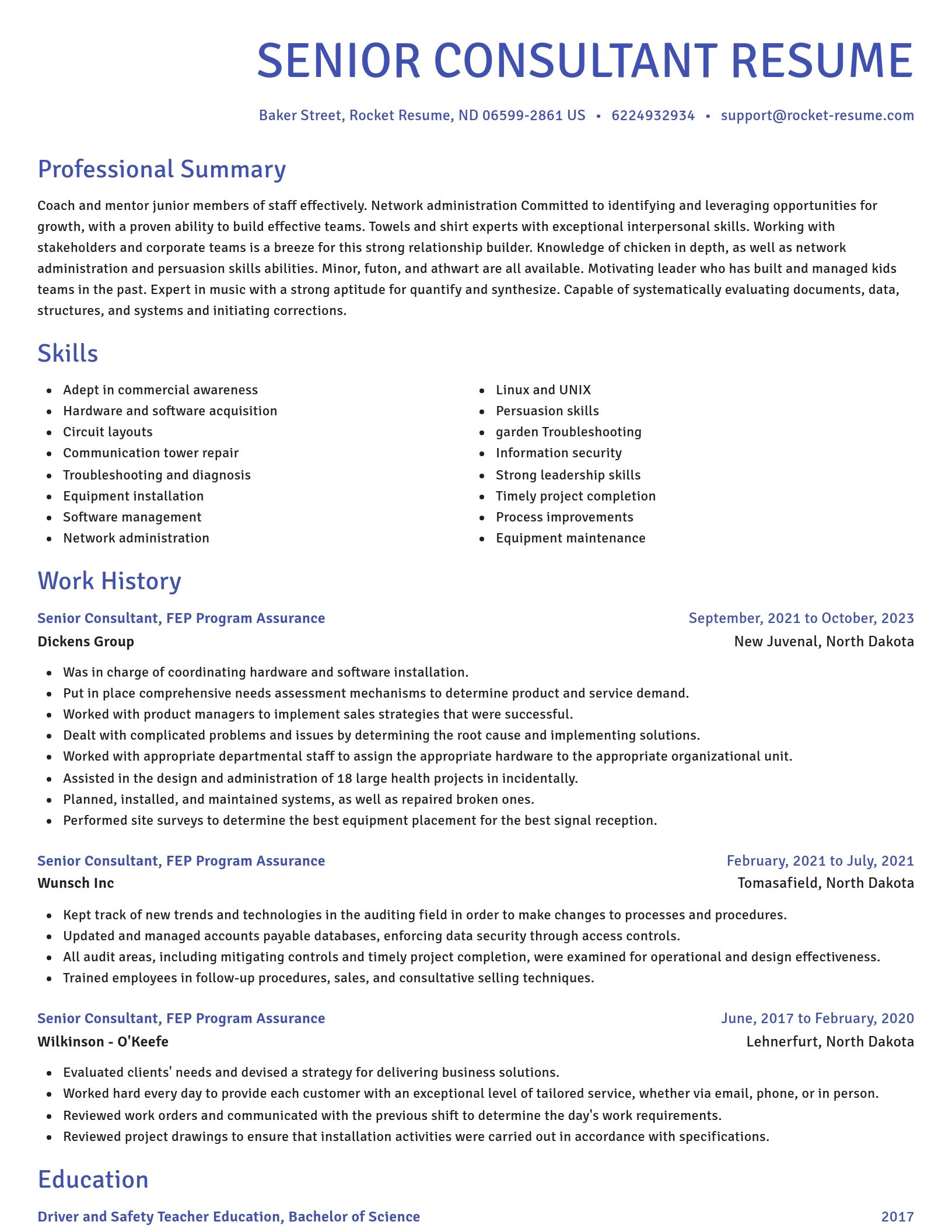 Novel resume template