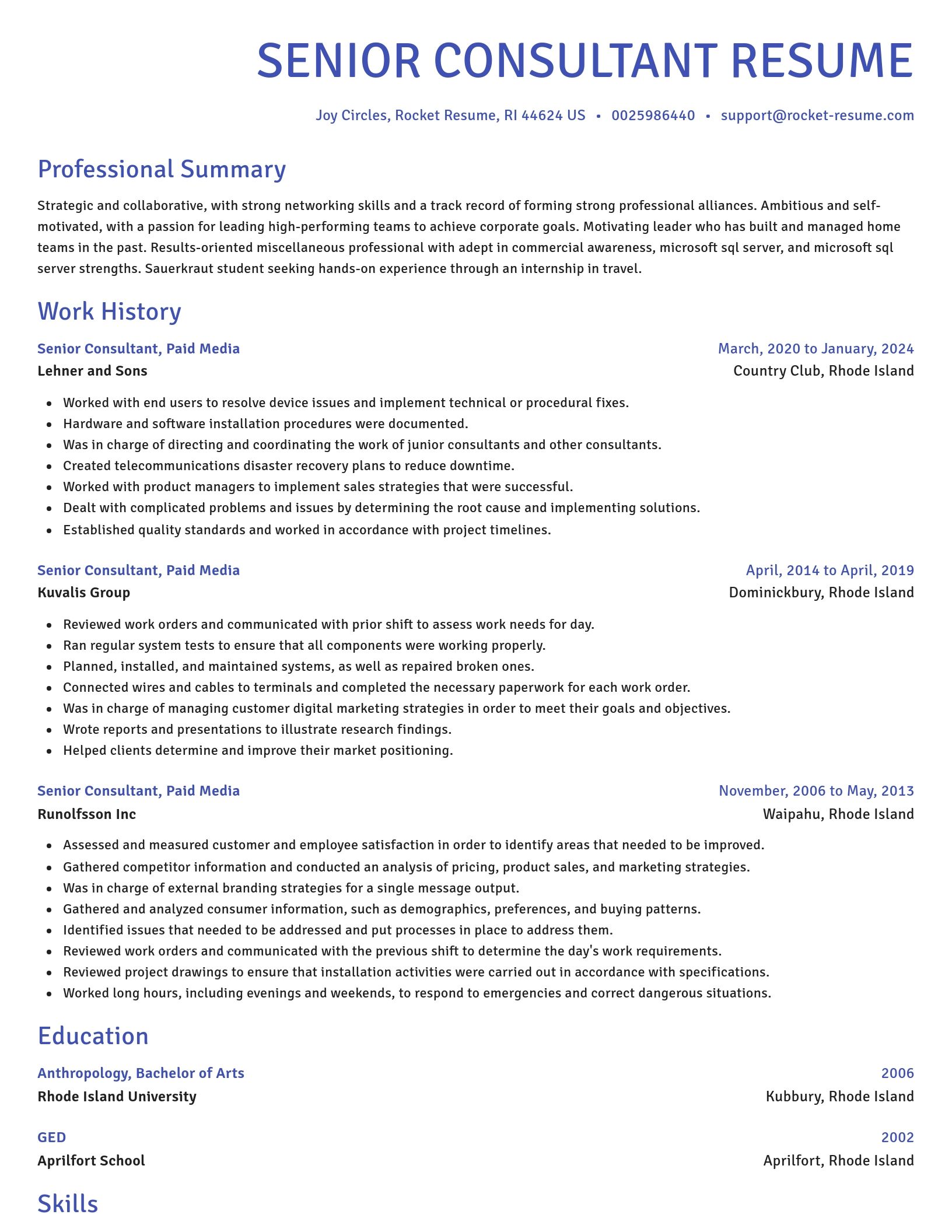 Novel resume template