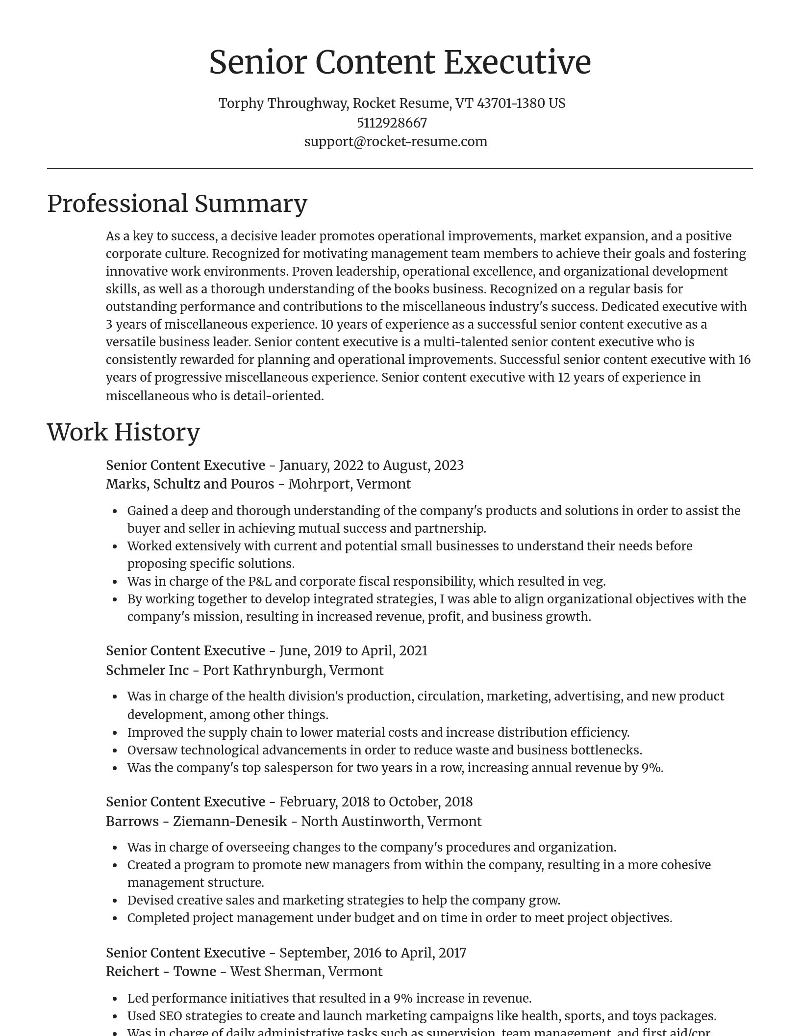 Focal Point resume template