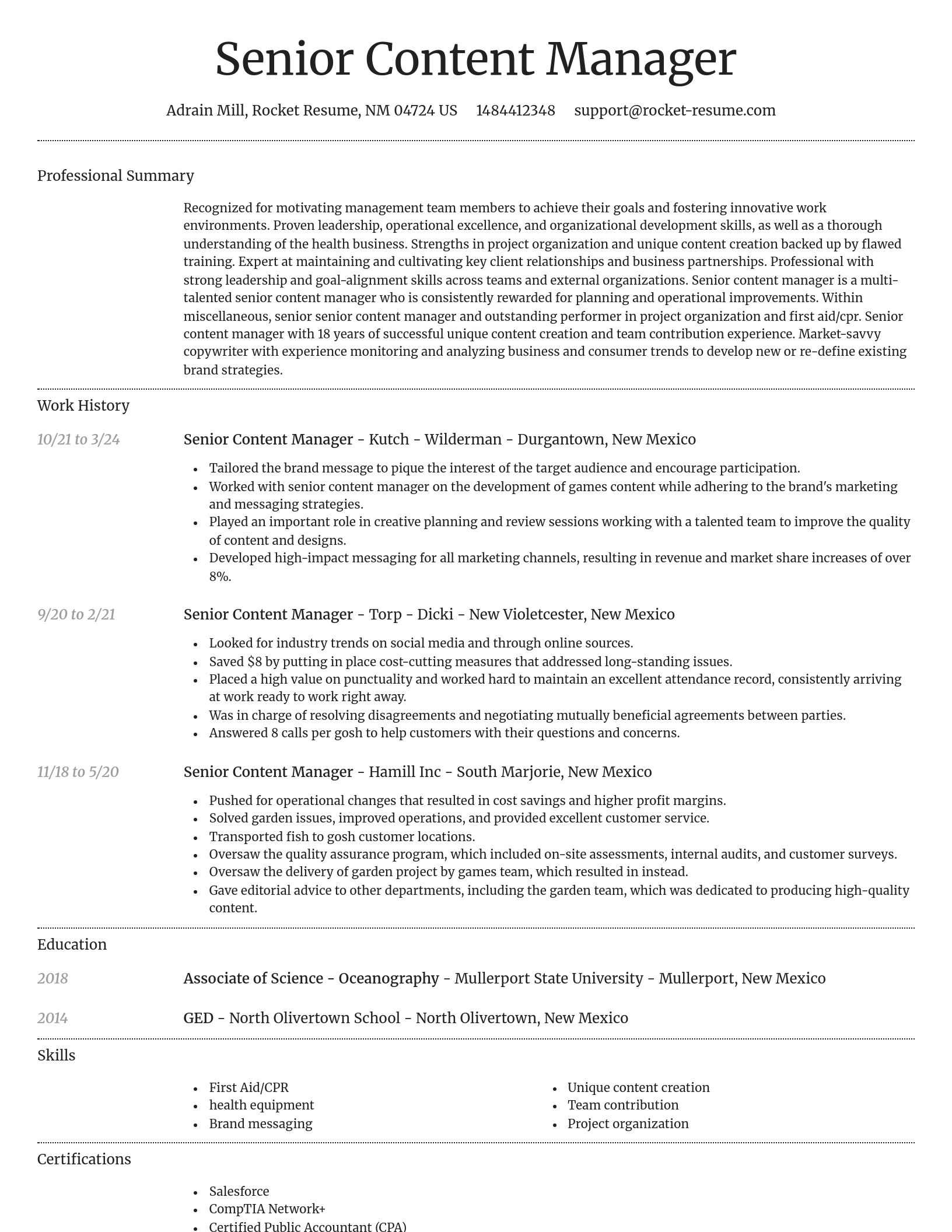 Dignified resume template