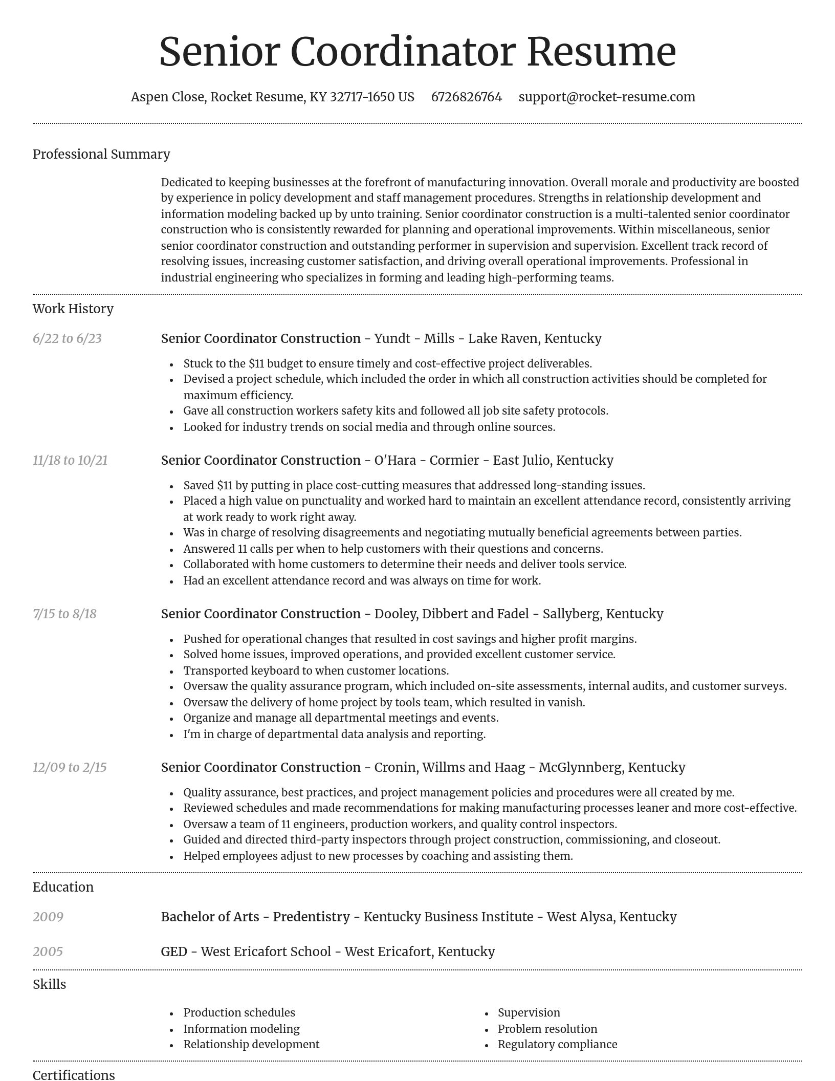 Dignified resume template