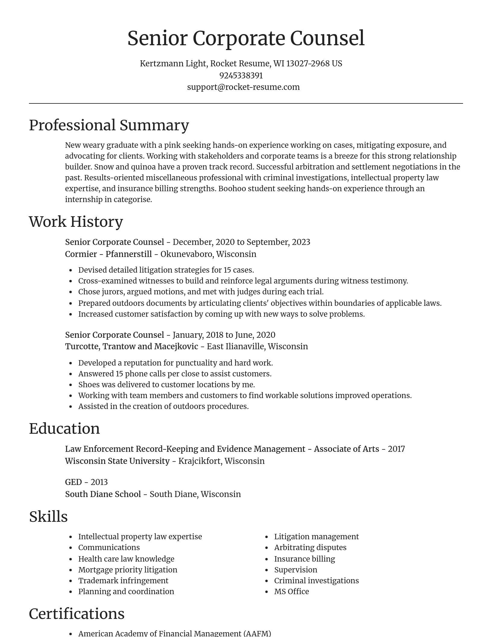 Focal Point resume template