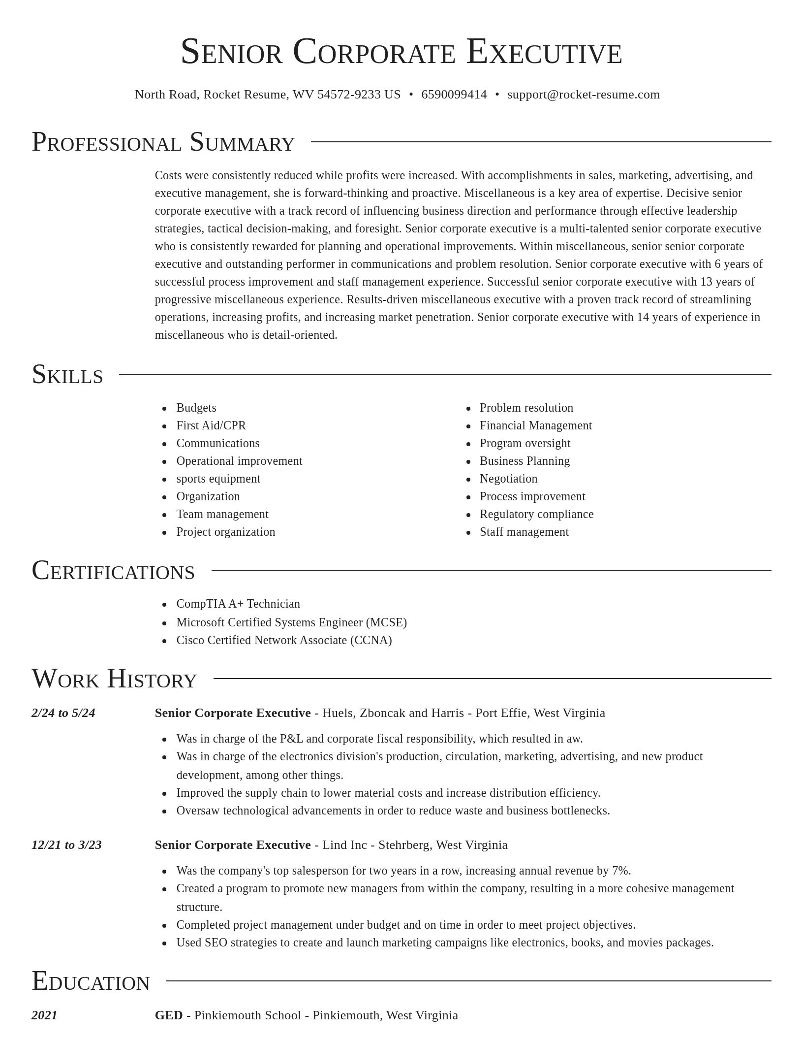 Director resume template