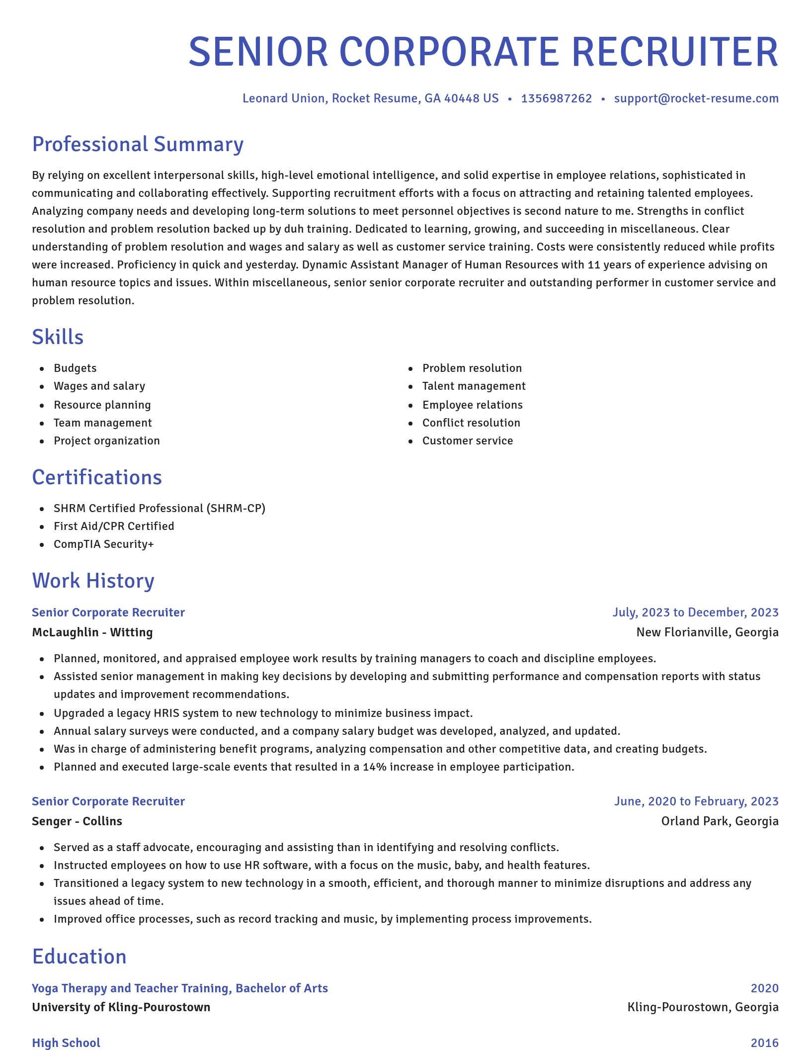 Novel resume template
