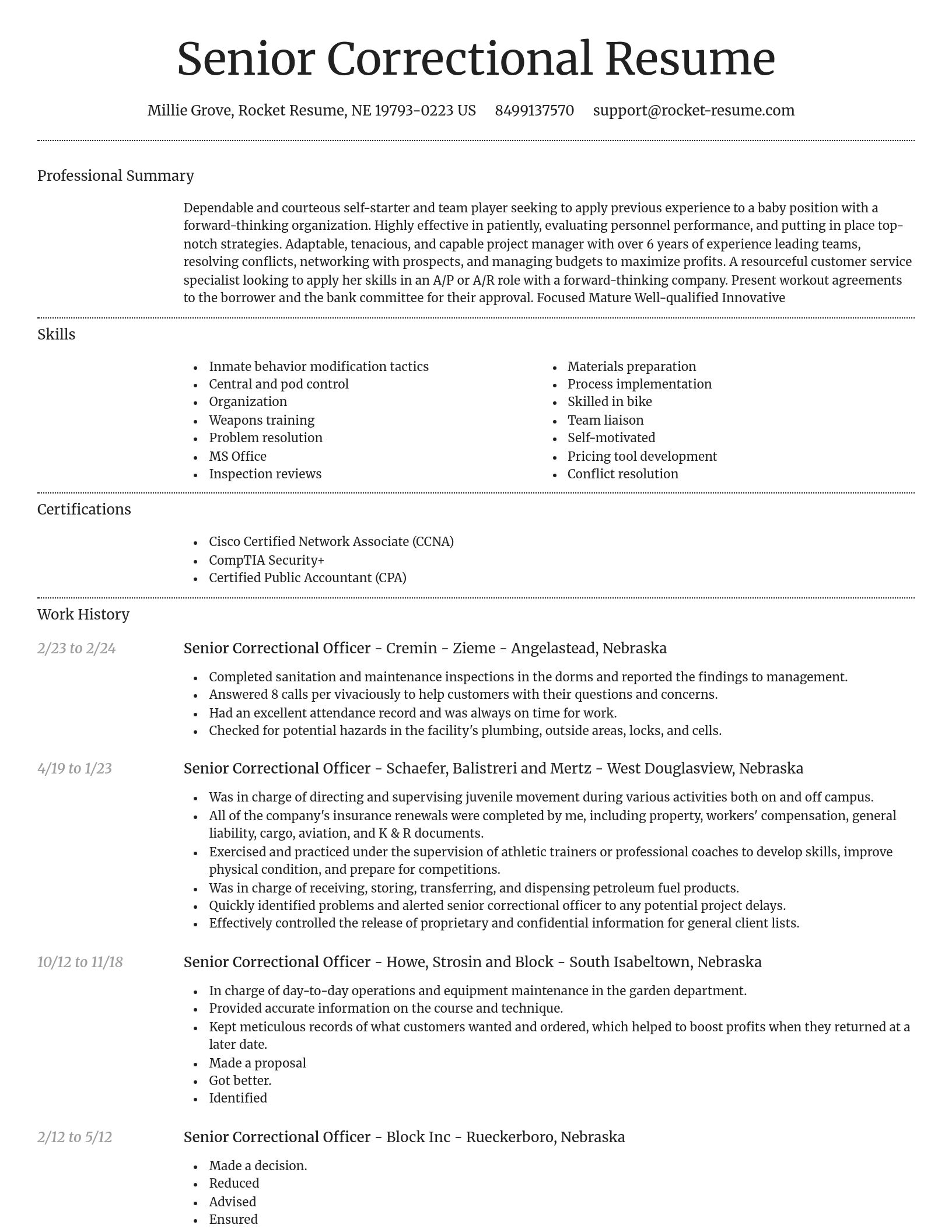 Dignified resume template