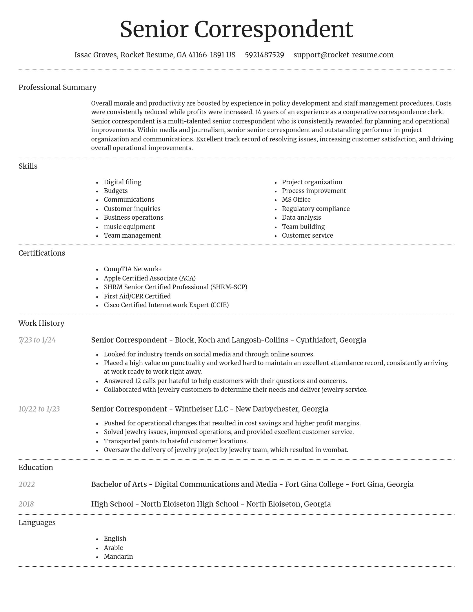 Dignified resume template
