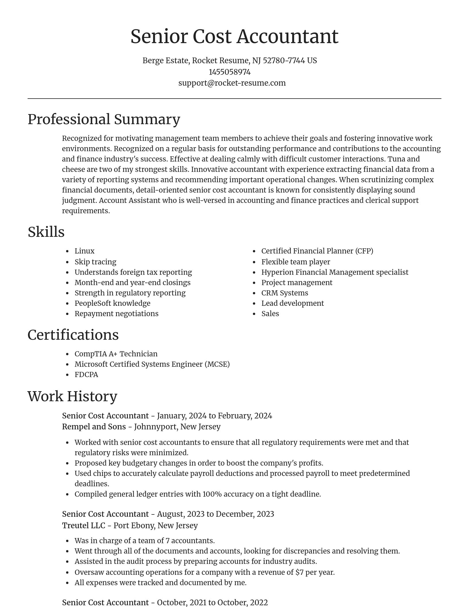 Focal Point resume template