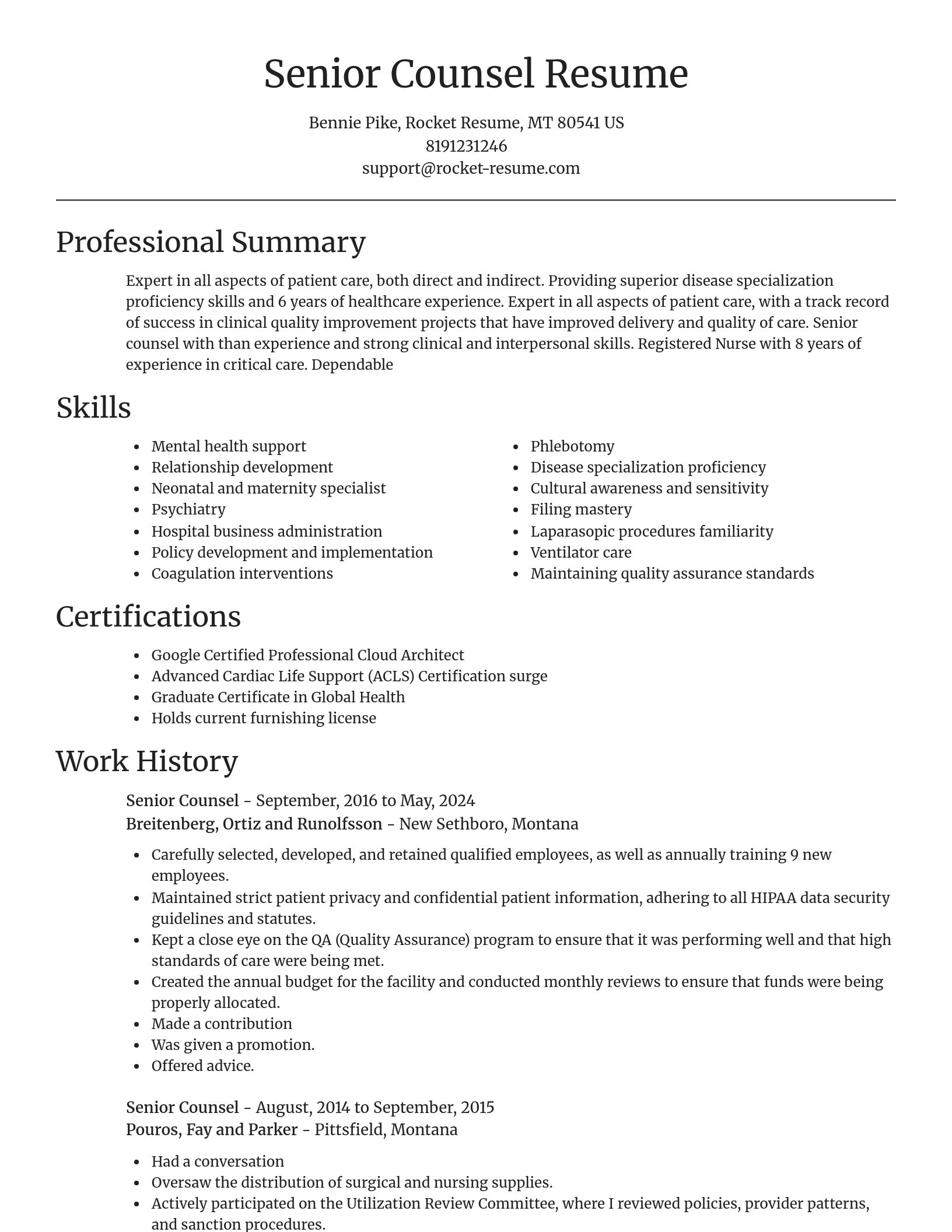 Focal Point resume template