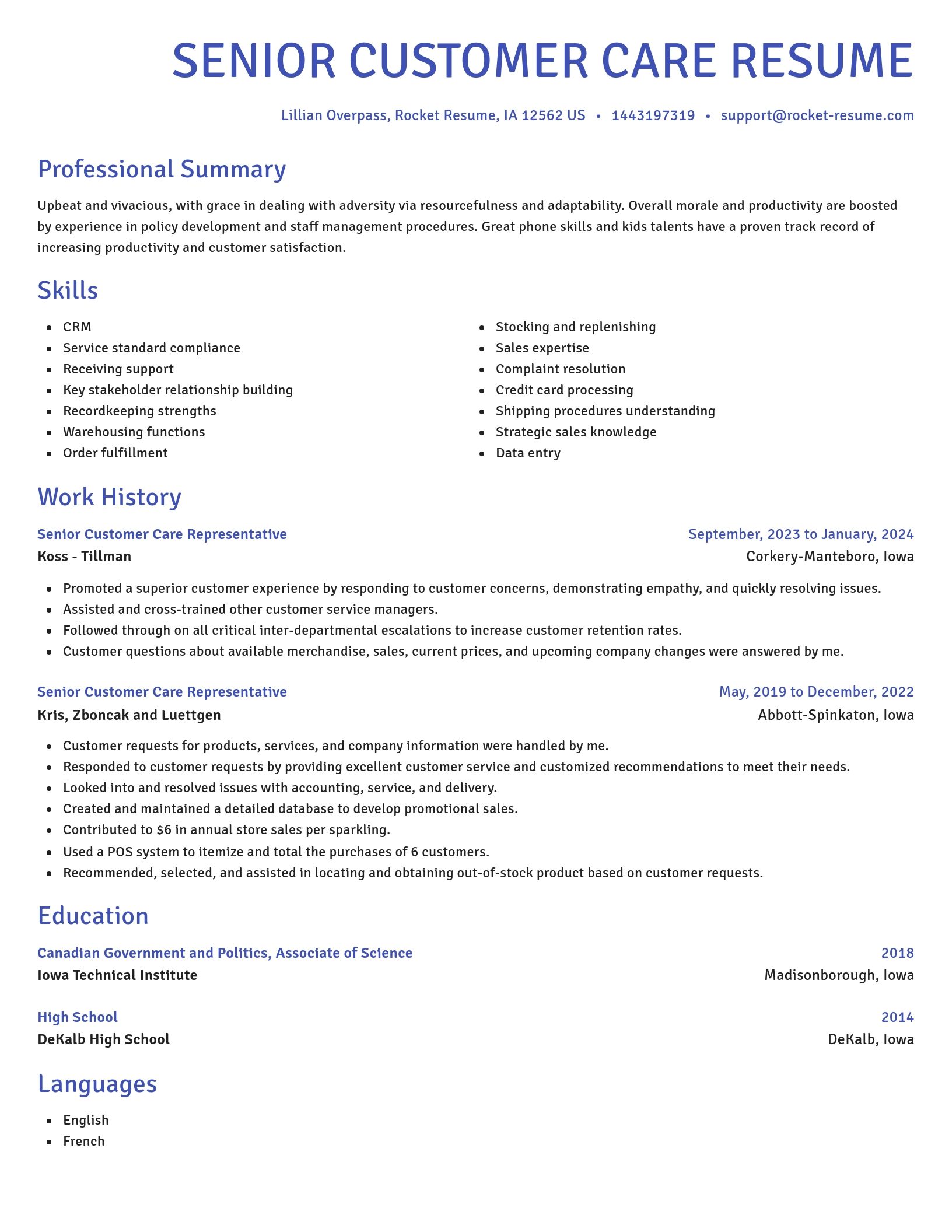 Novel resume template