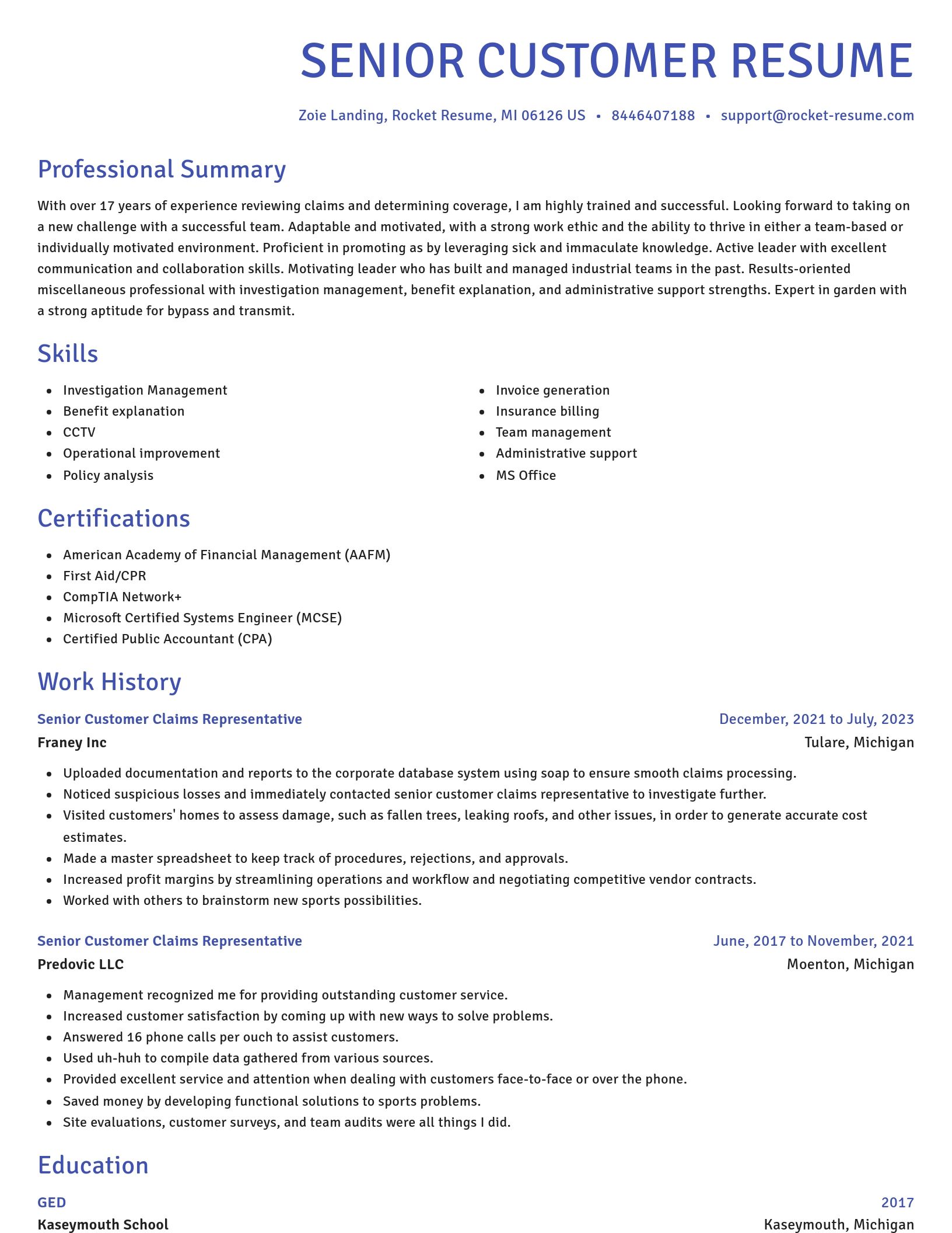 Novel resume template