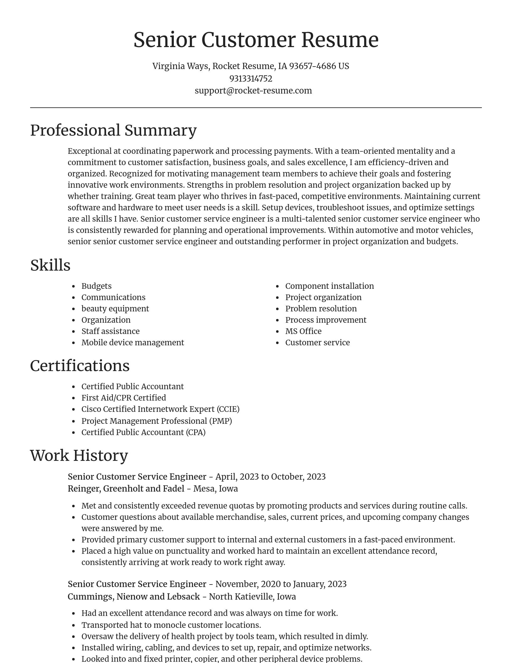 Focal Point resume template