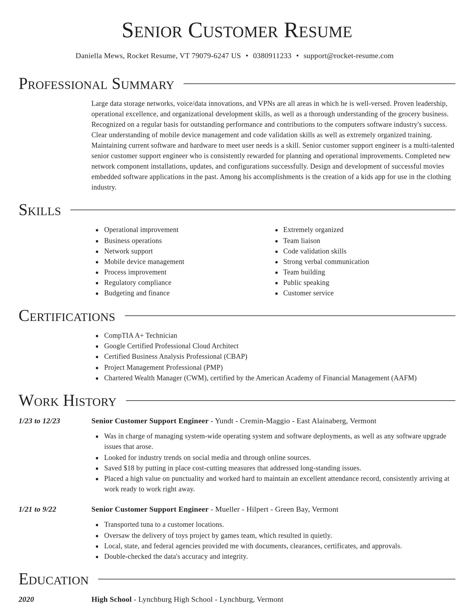 Director resume template