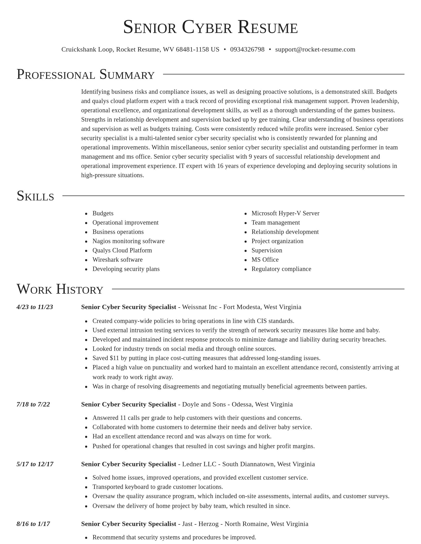 Director resume template