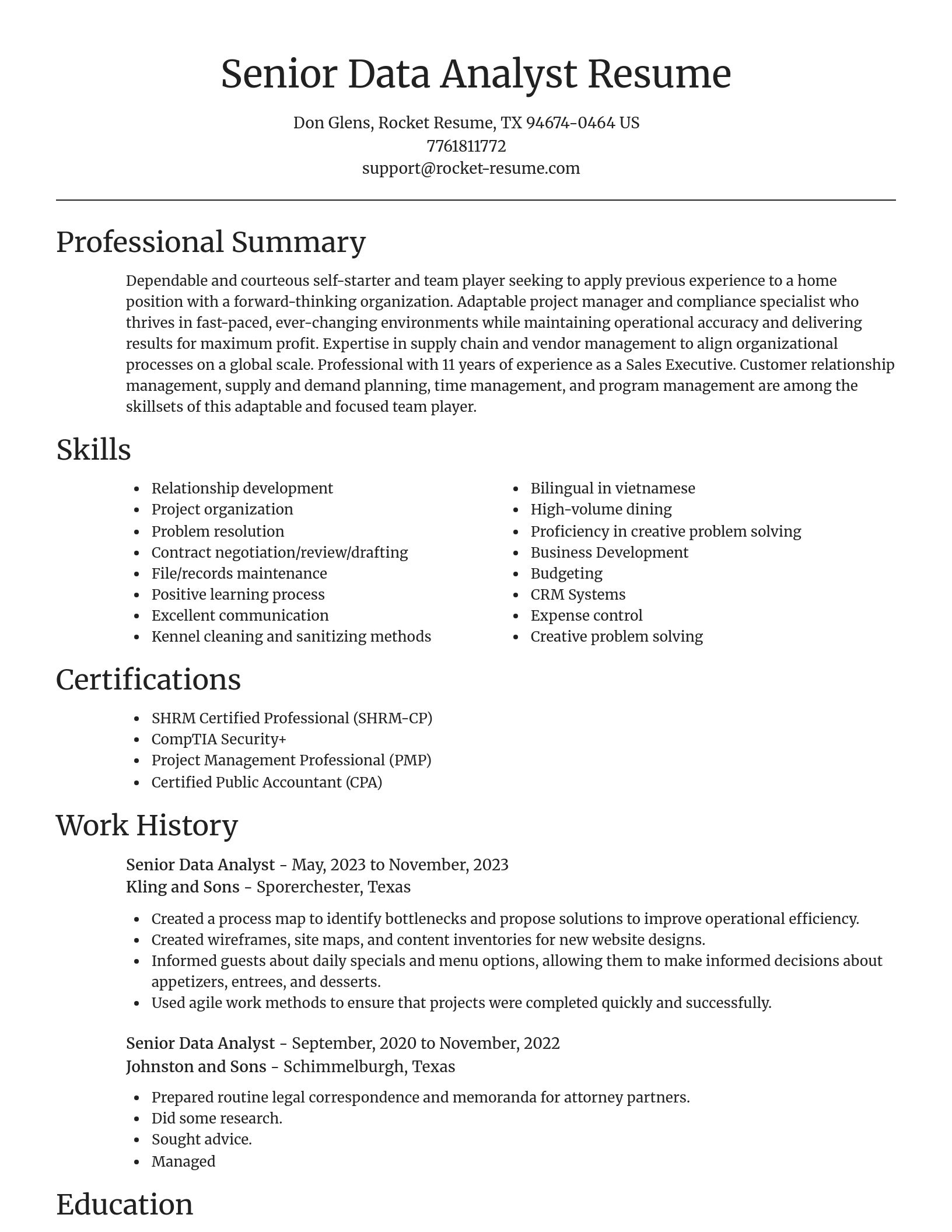 Focal Point resume template