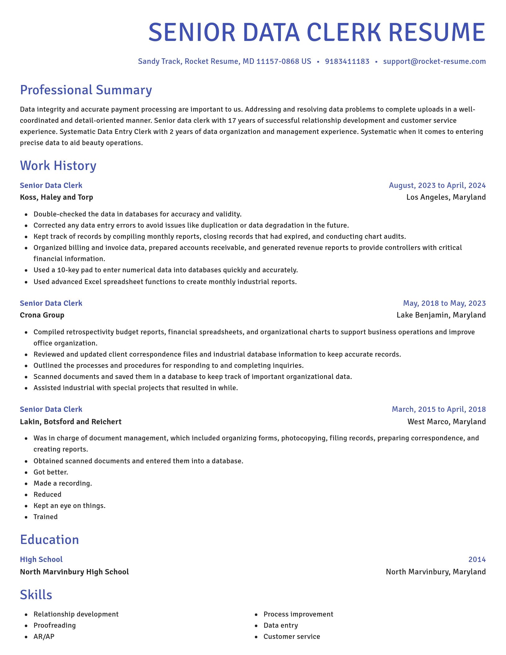 Novel resume template