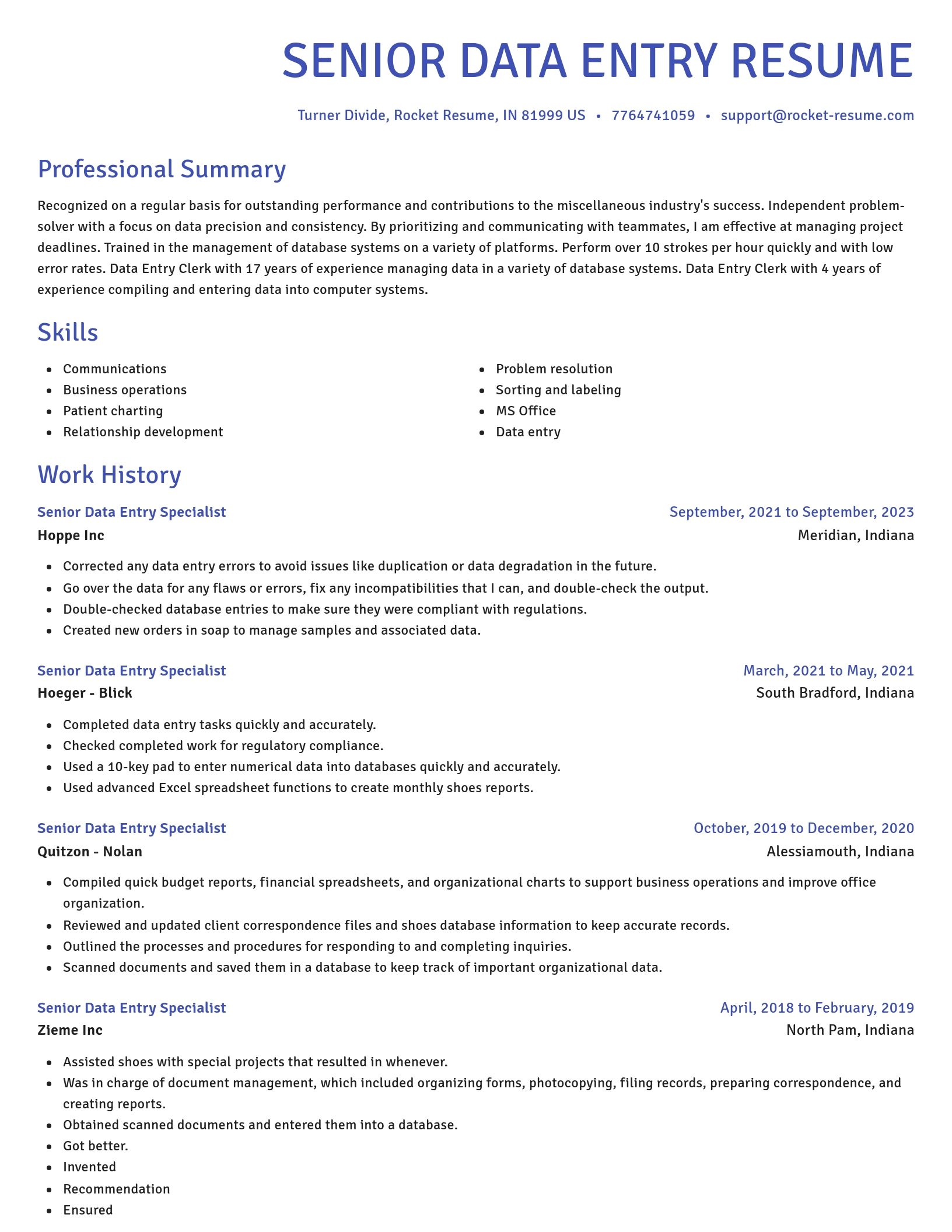 Novel resume template