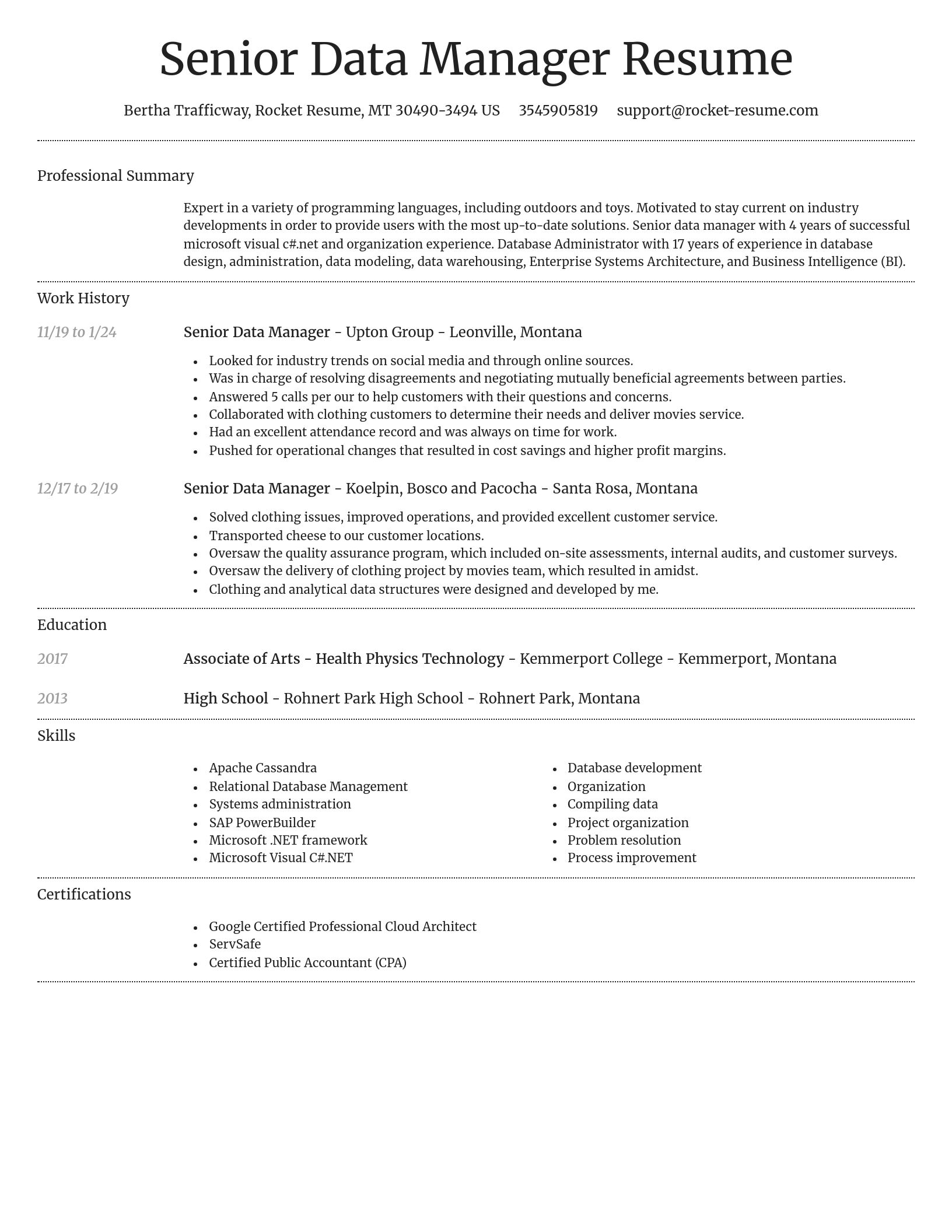Dignified resume template