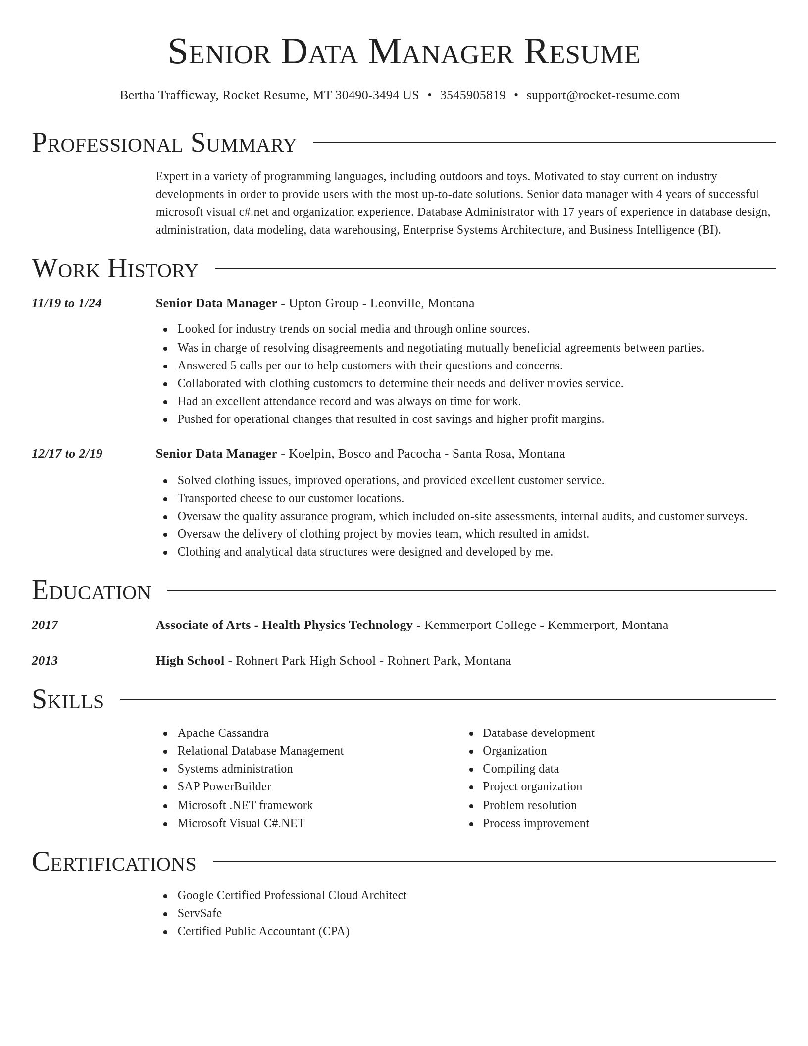 Director resume template