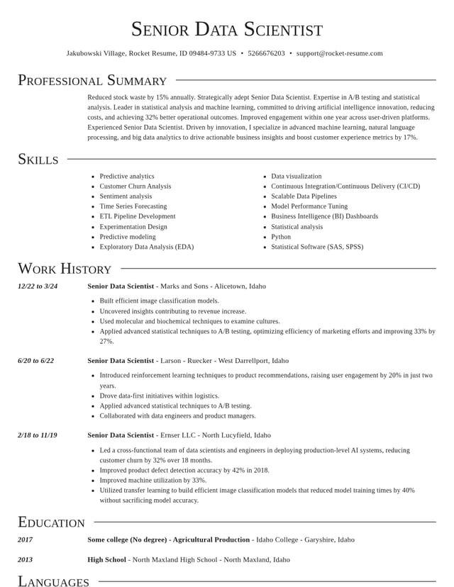 Director resume template